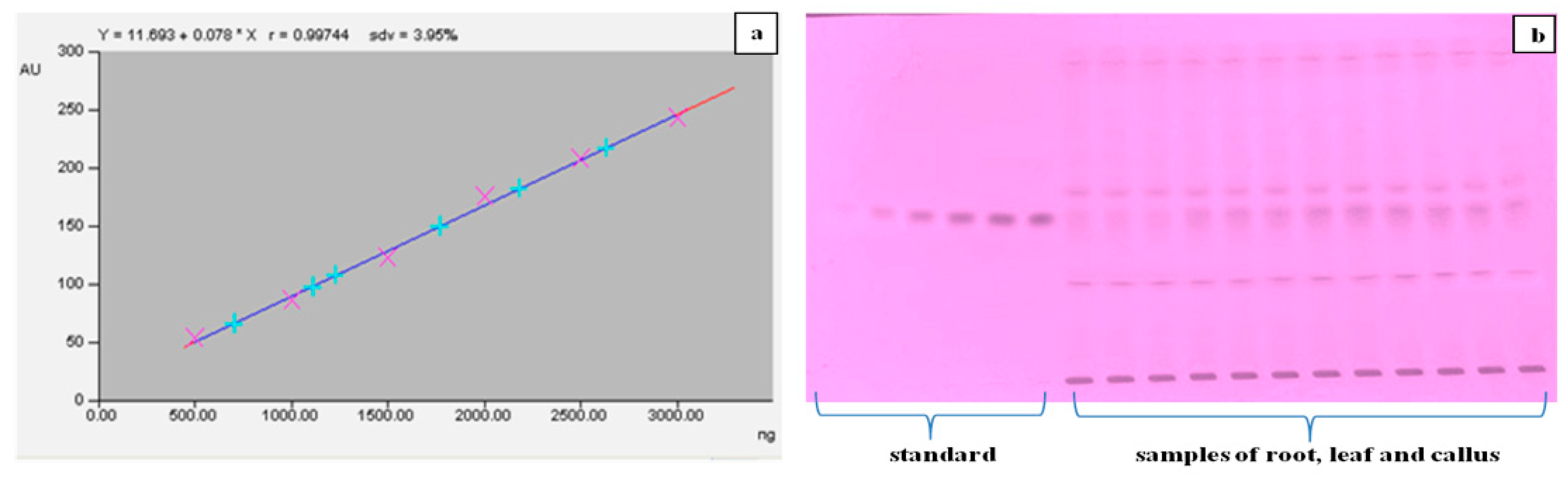 Plants 13 00122 g007