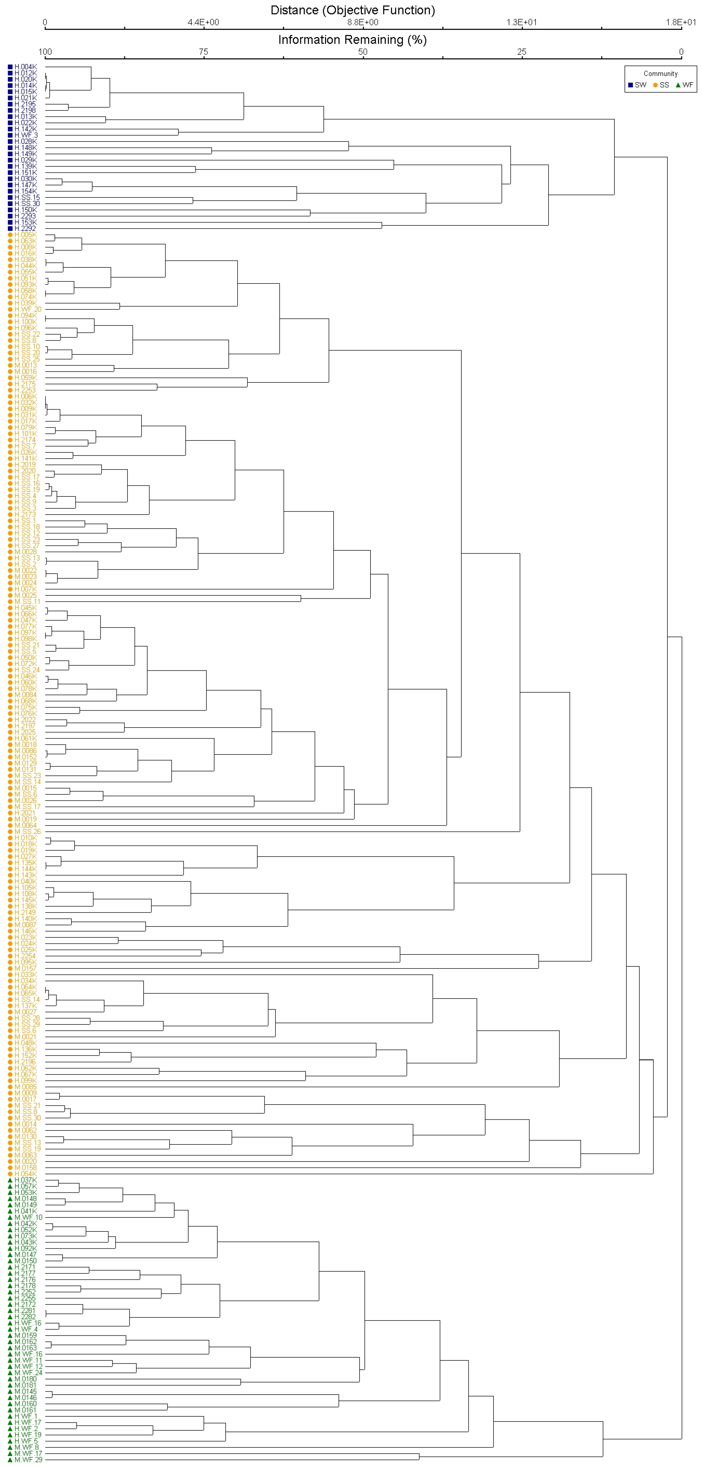 Plants 13 00123 g001