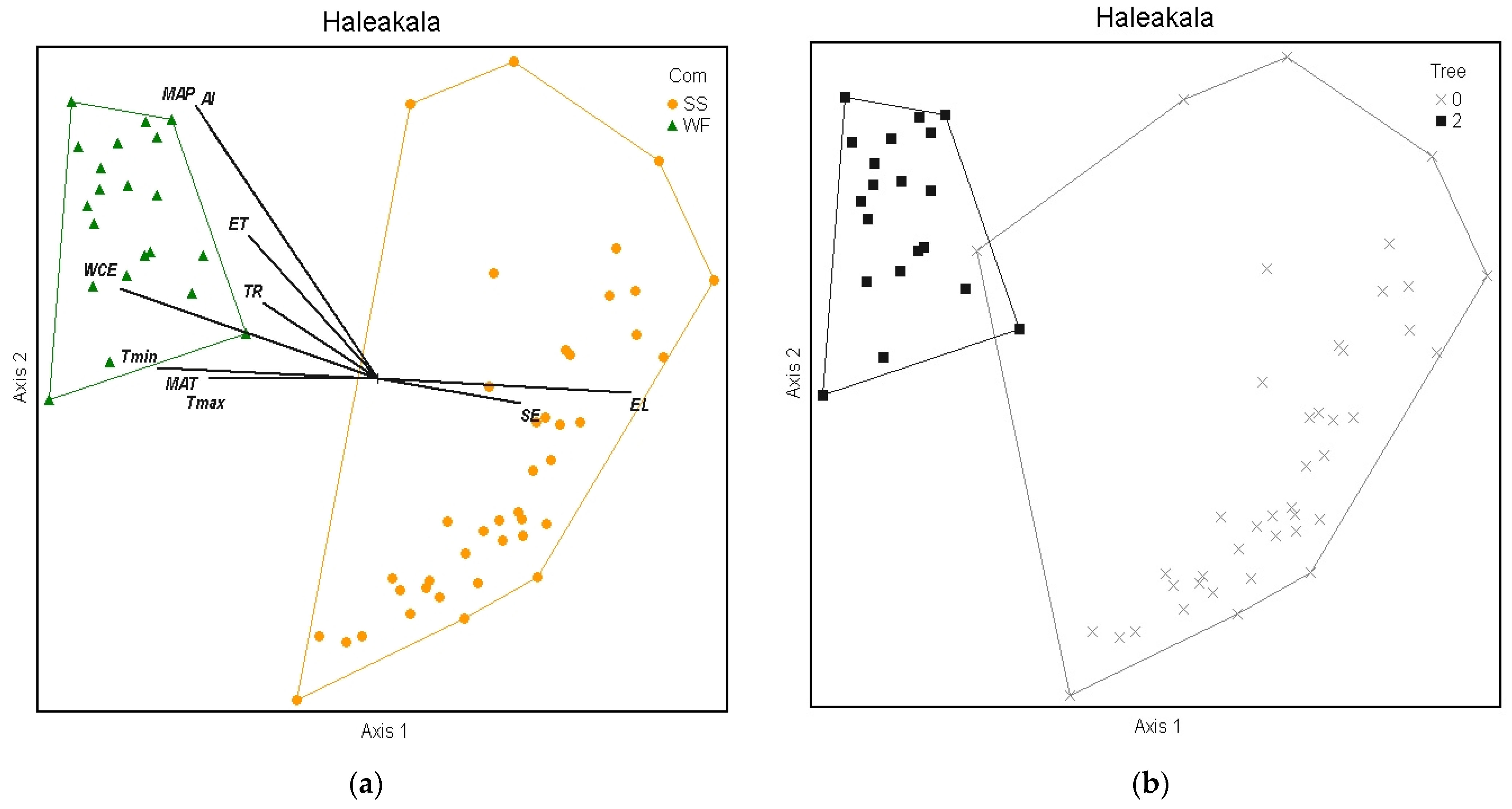 Plants 13 00123 g006