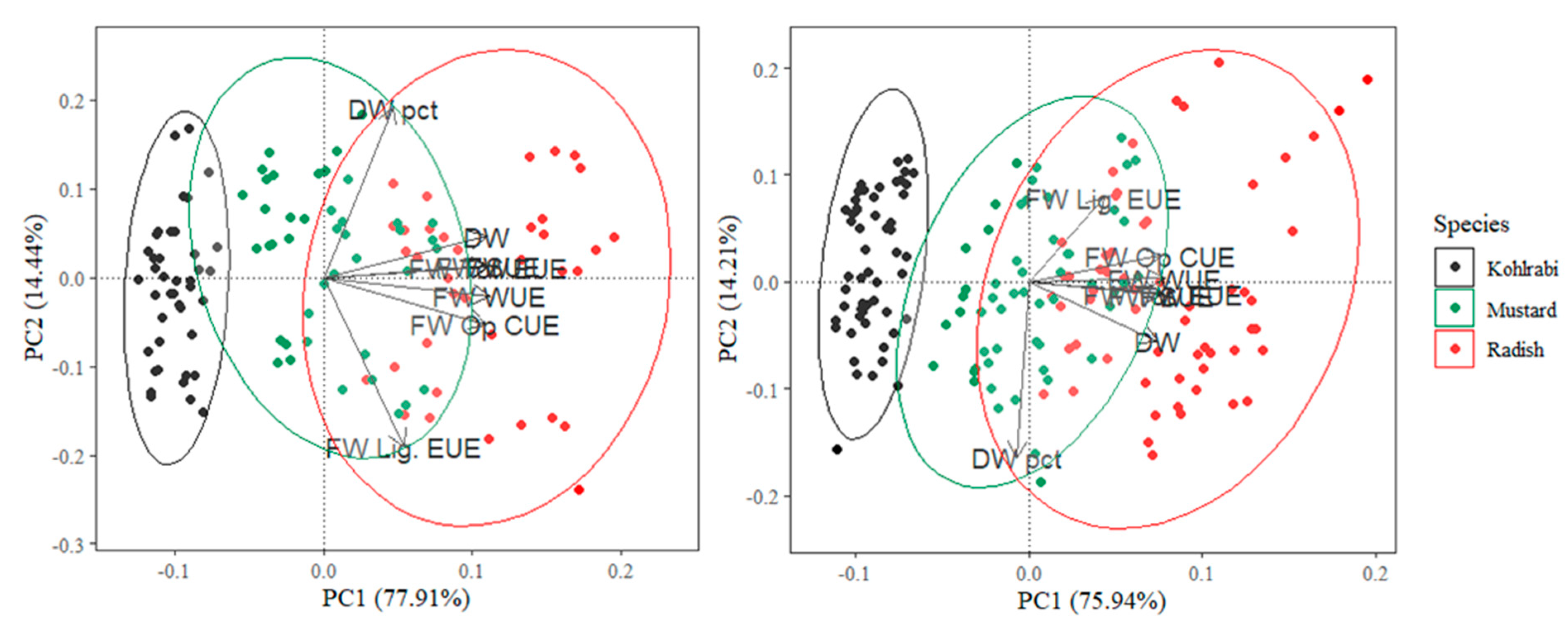 Plants 13 00124 g001