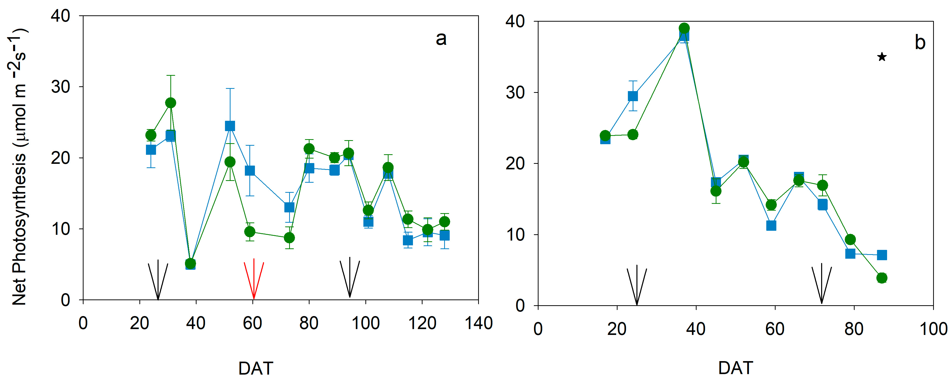 Plants 13 00128 g004