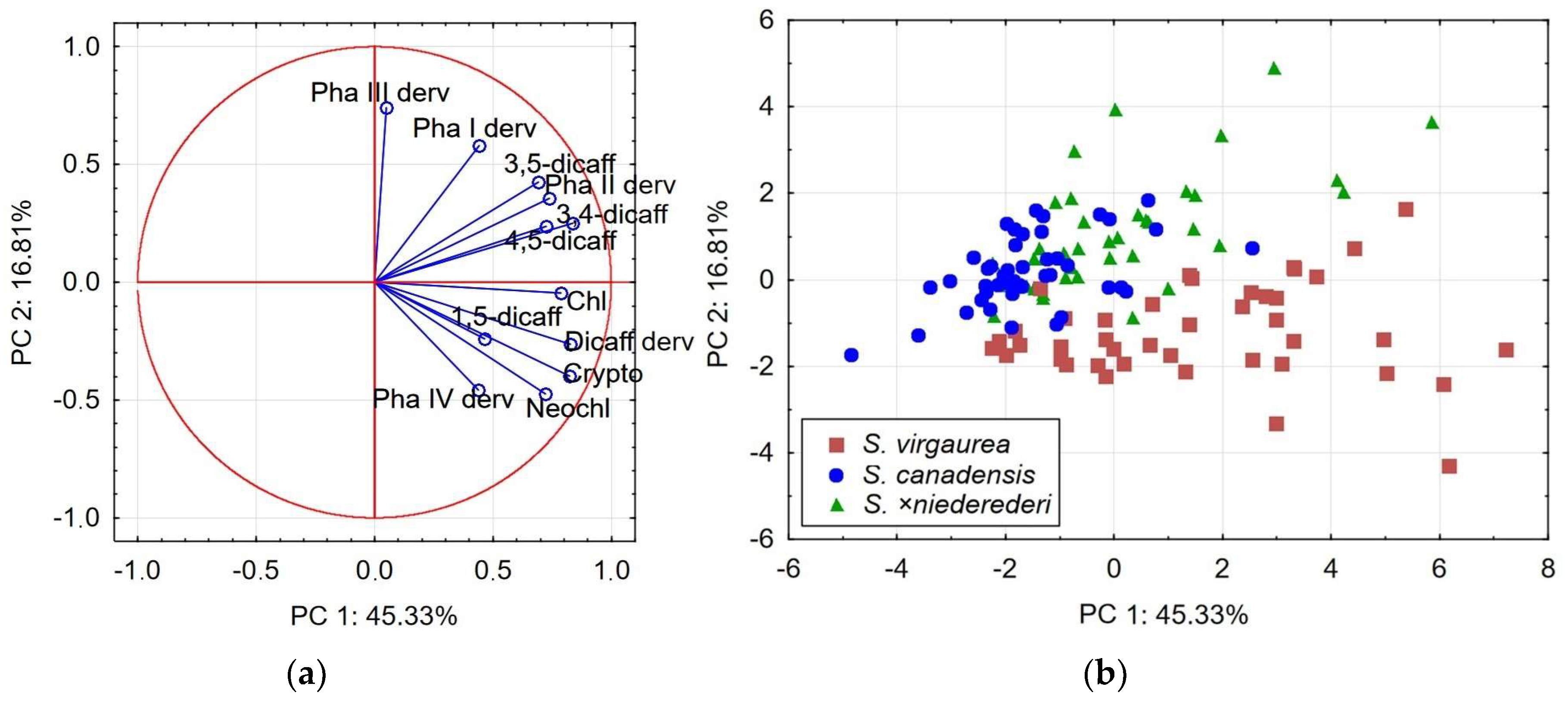 Plants 13 00132 g002