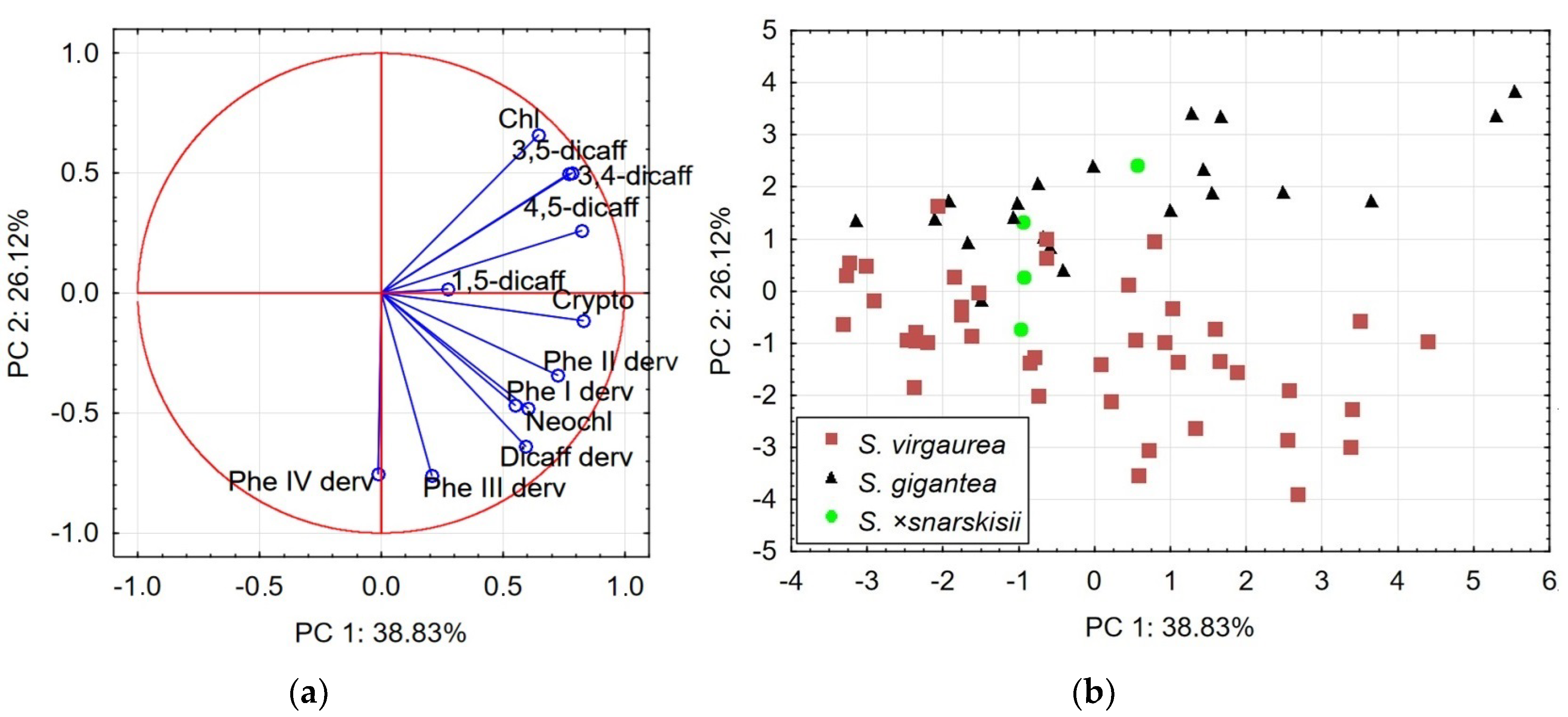 Plants 13 00132 g003