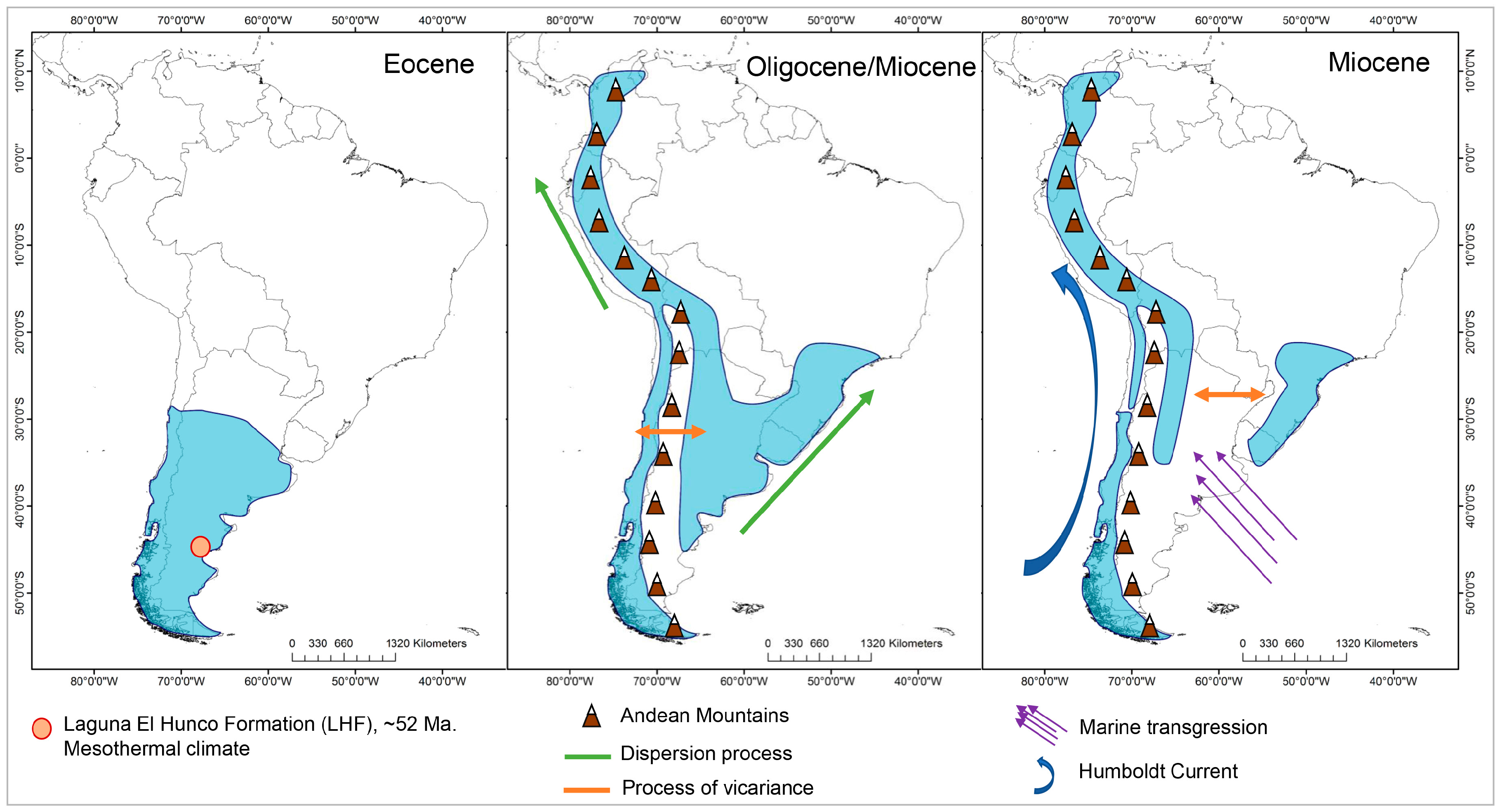 Plants 13 00133 g005
