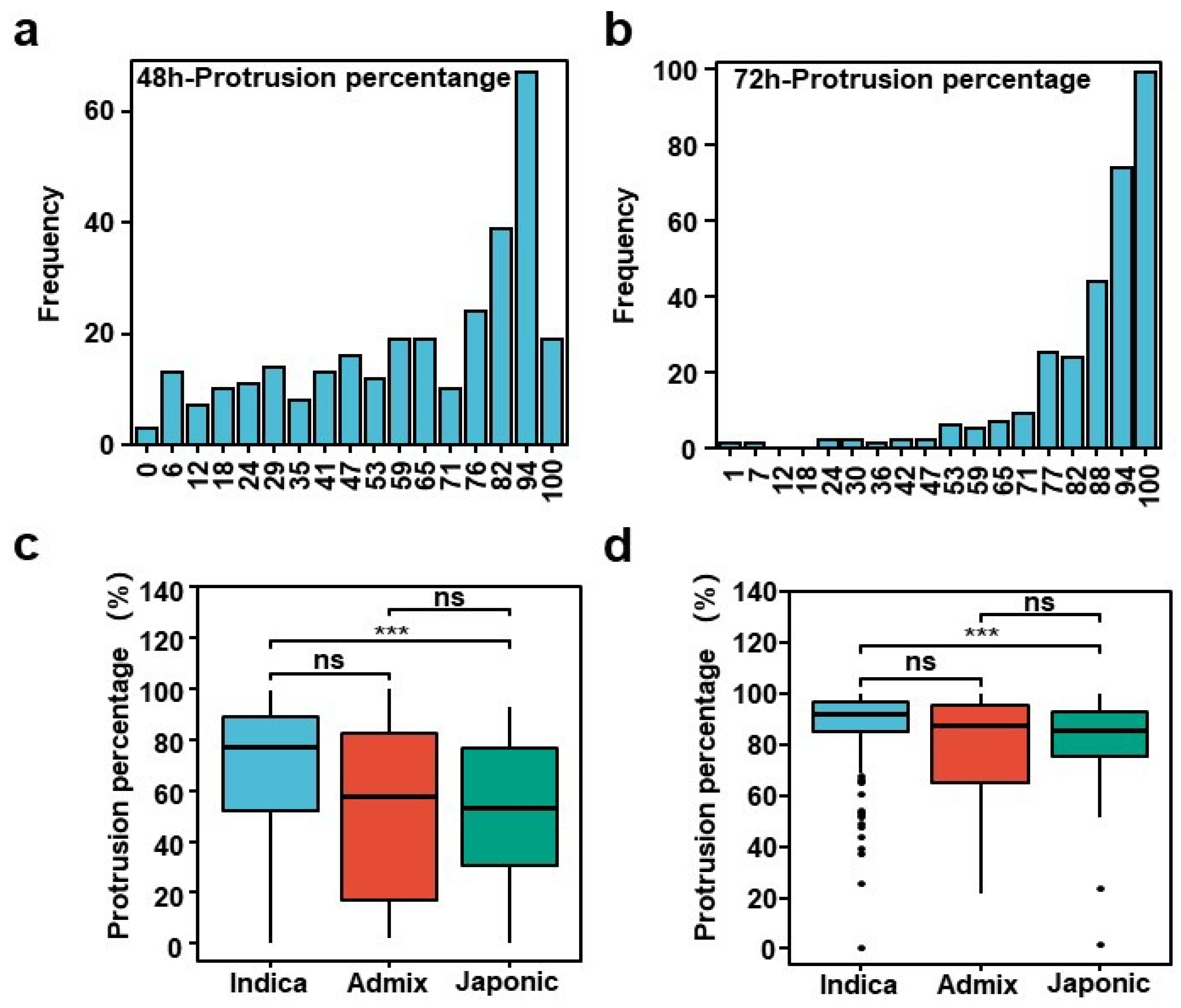 Plants 13 00134 g001
