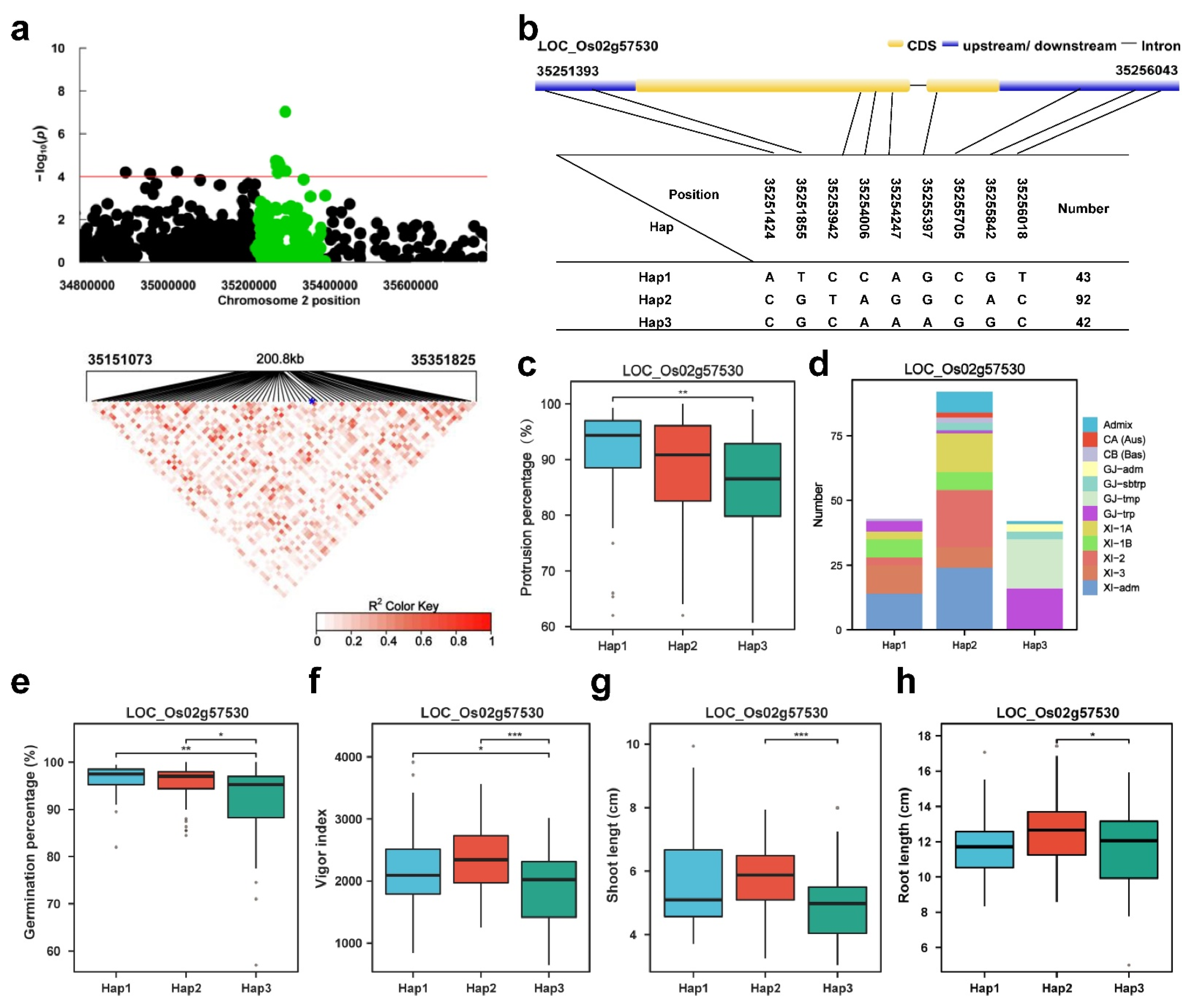 Plants 13 00134 g004