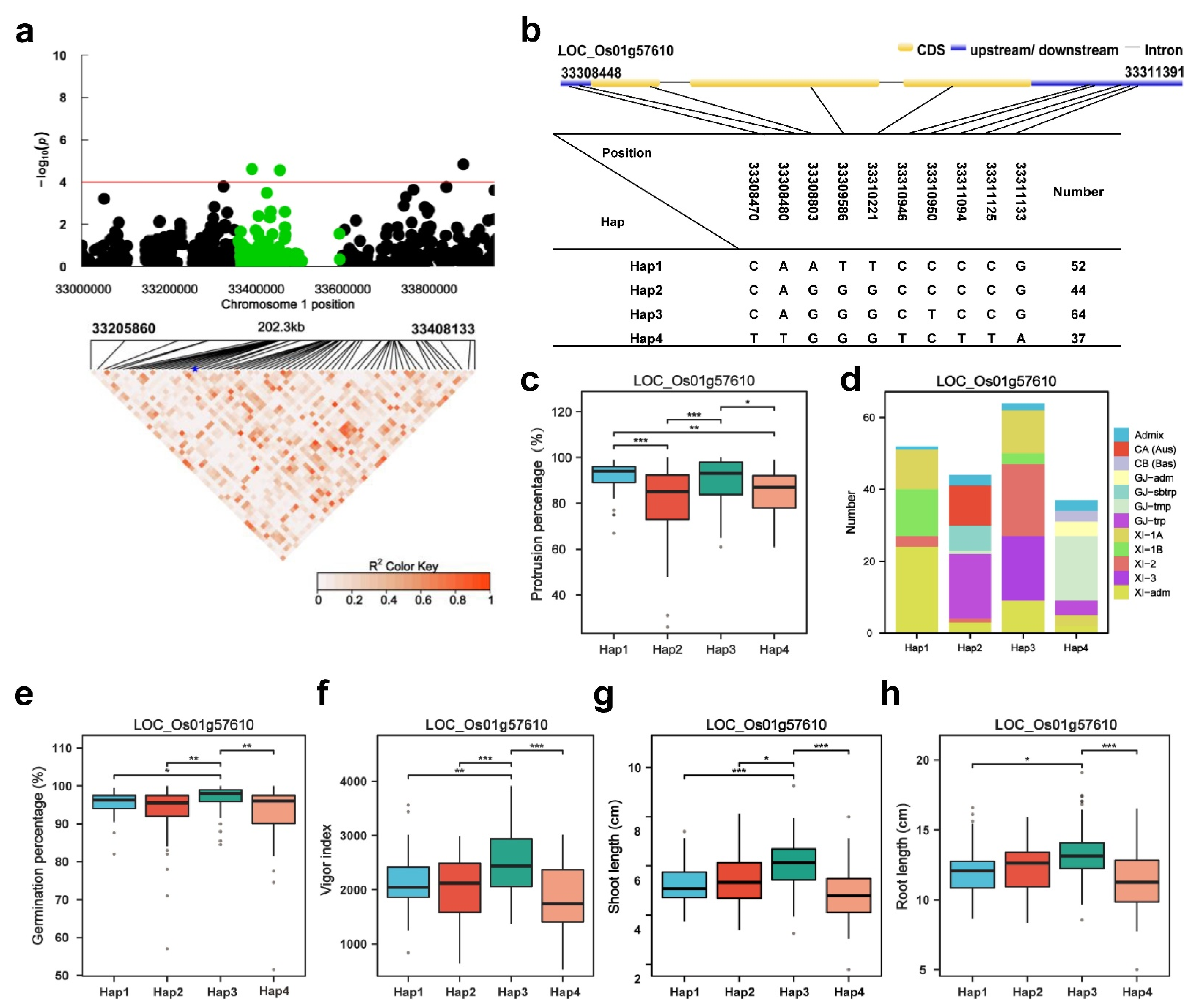Plants 13 00134 g005