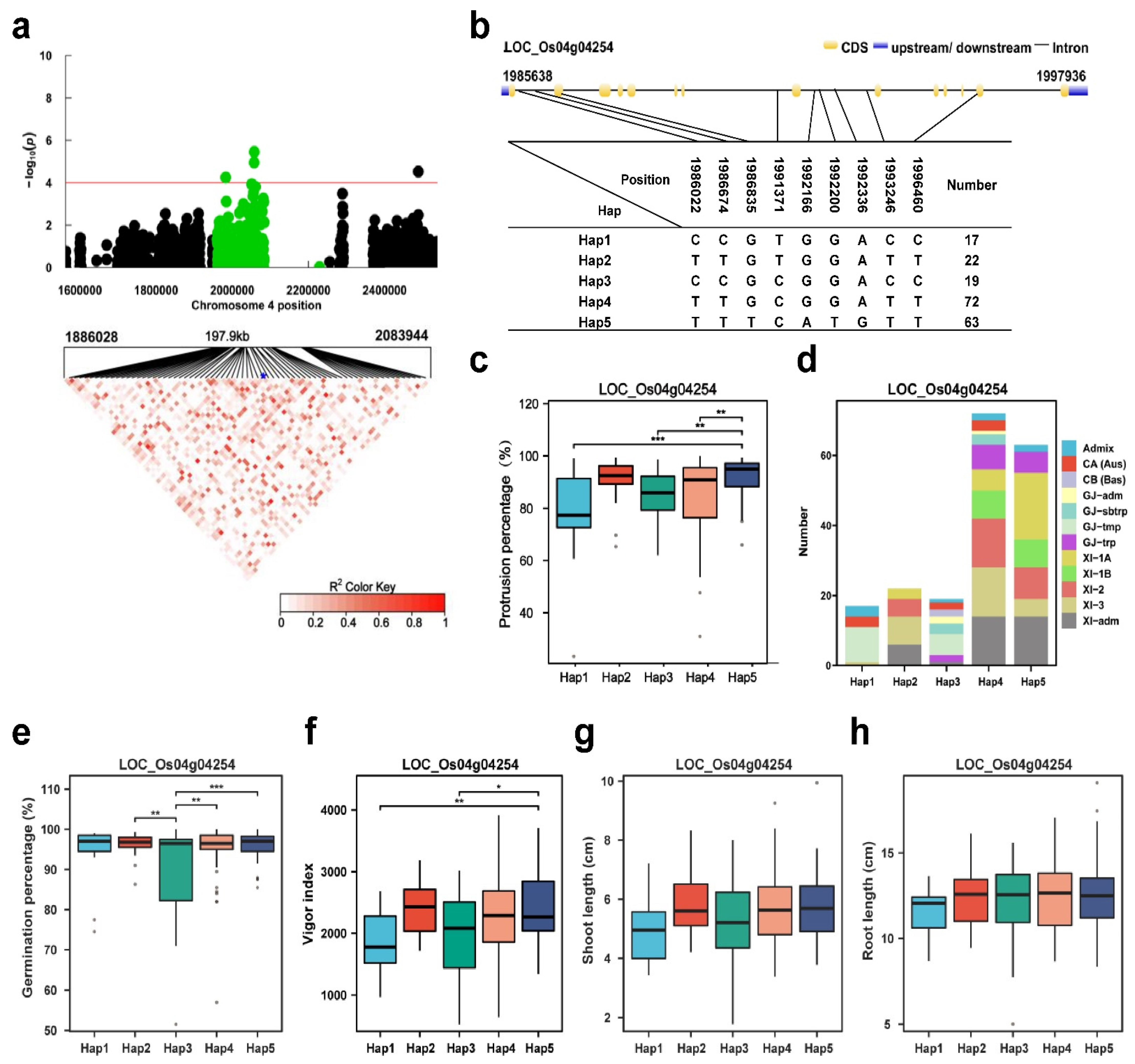 Plants 13 00134 g006