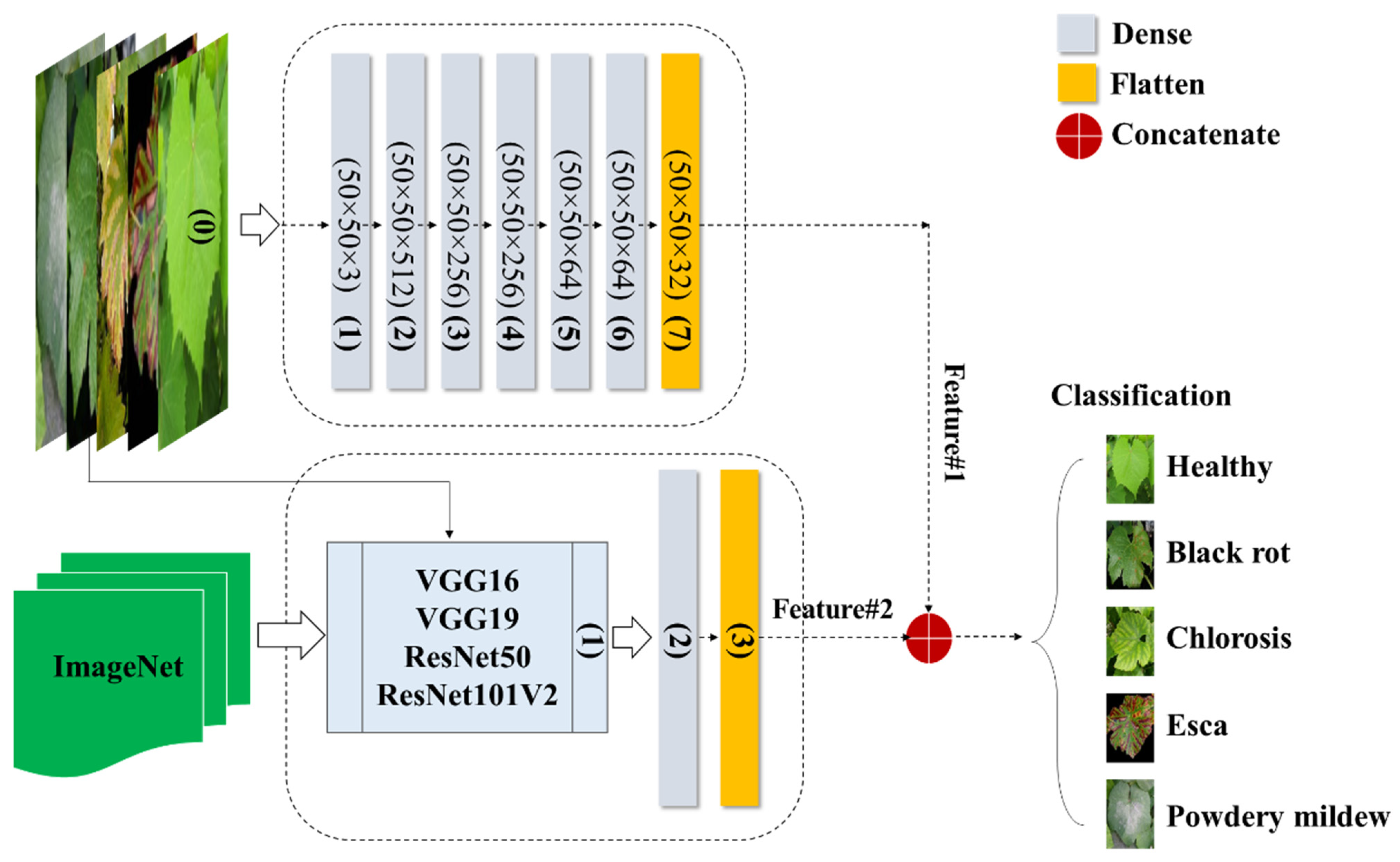Plants 13 00135 g004