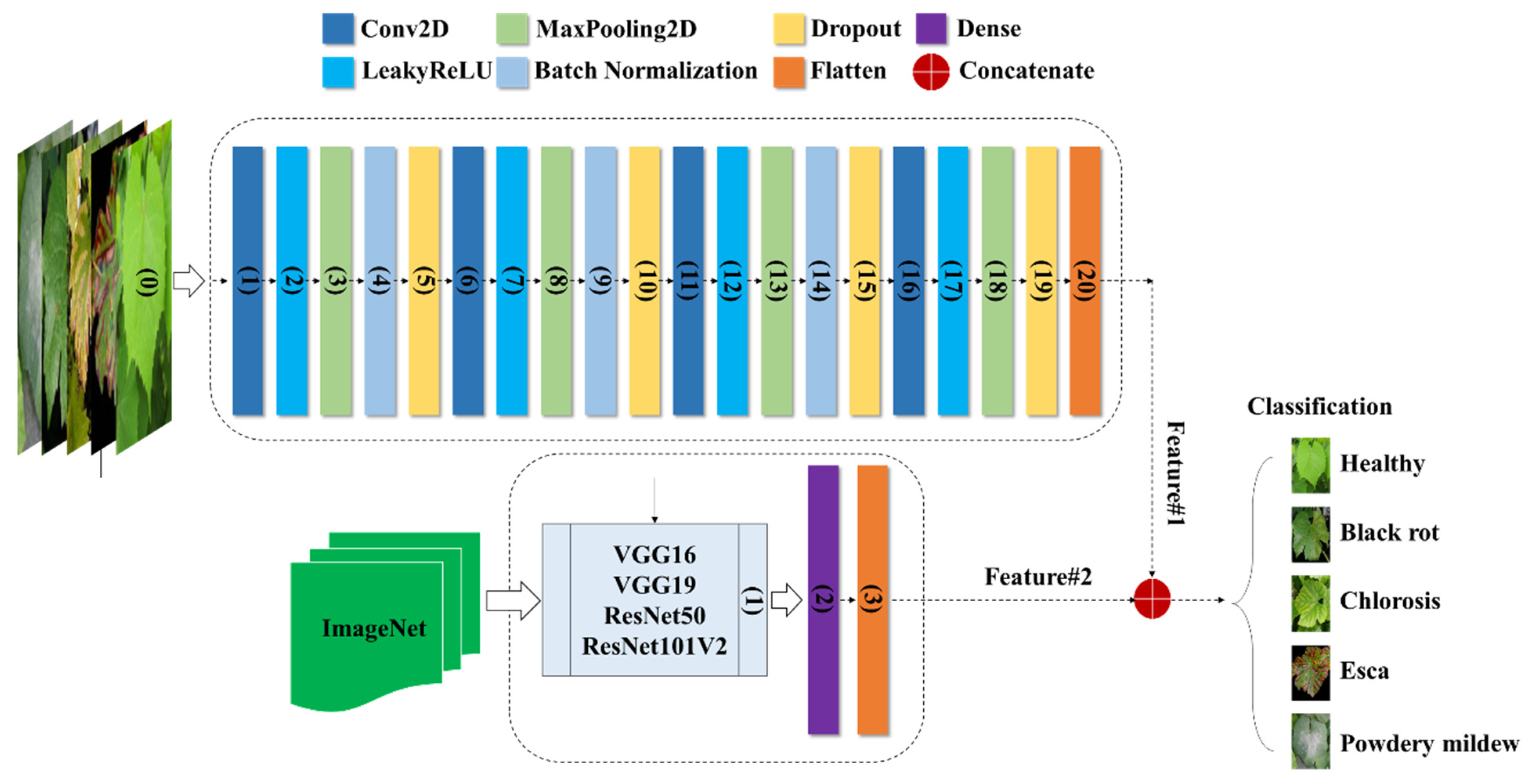 Plants 13 00135 g005