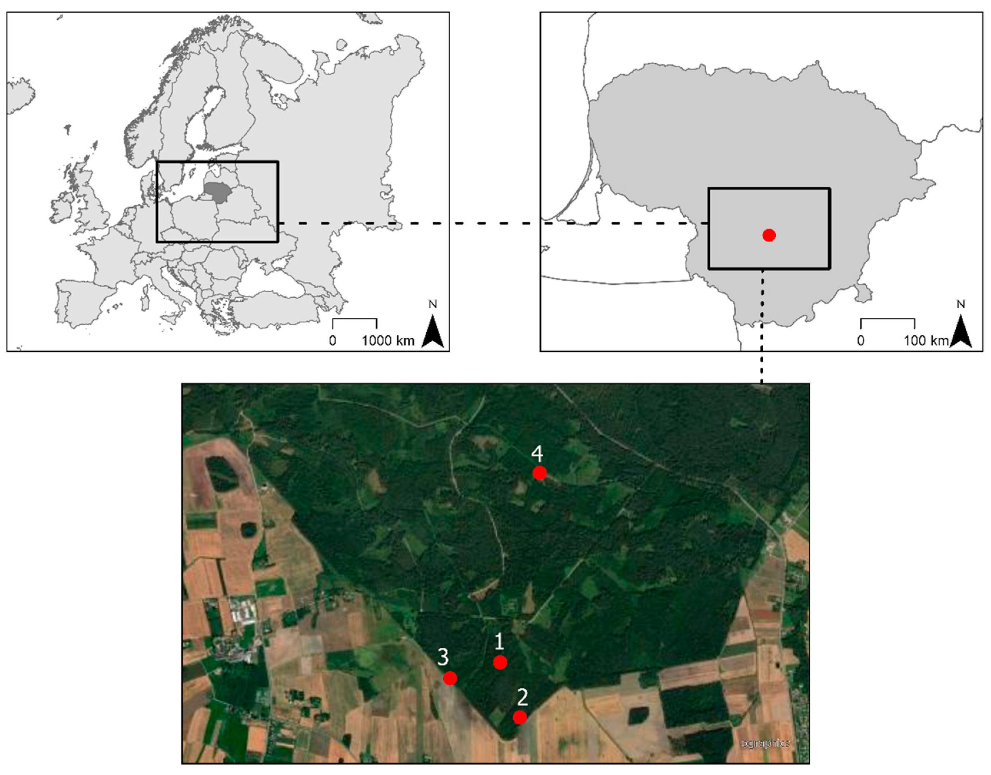 Plants 13 00139 g005