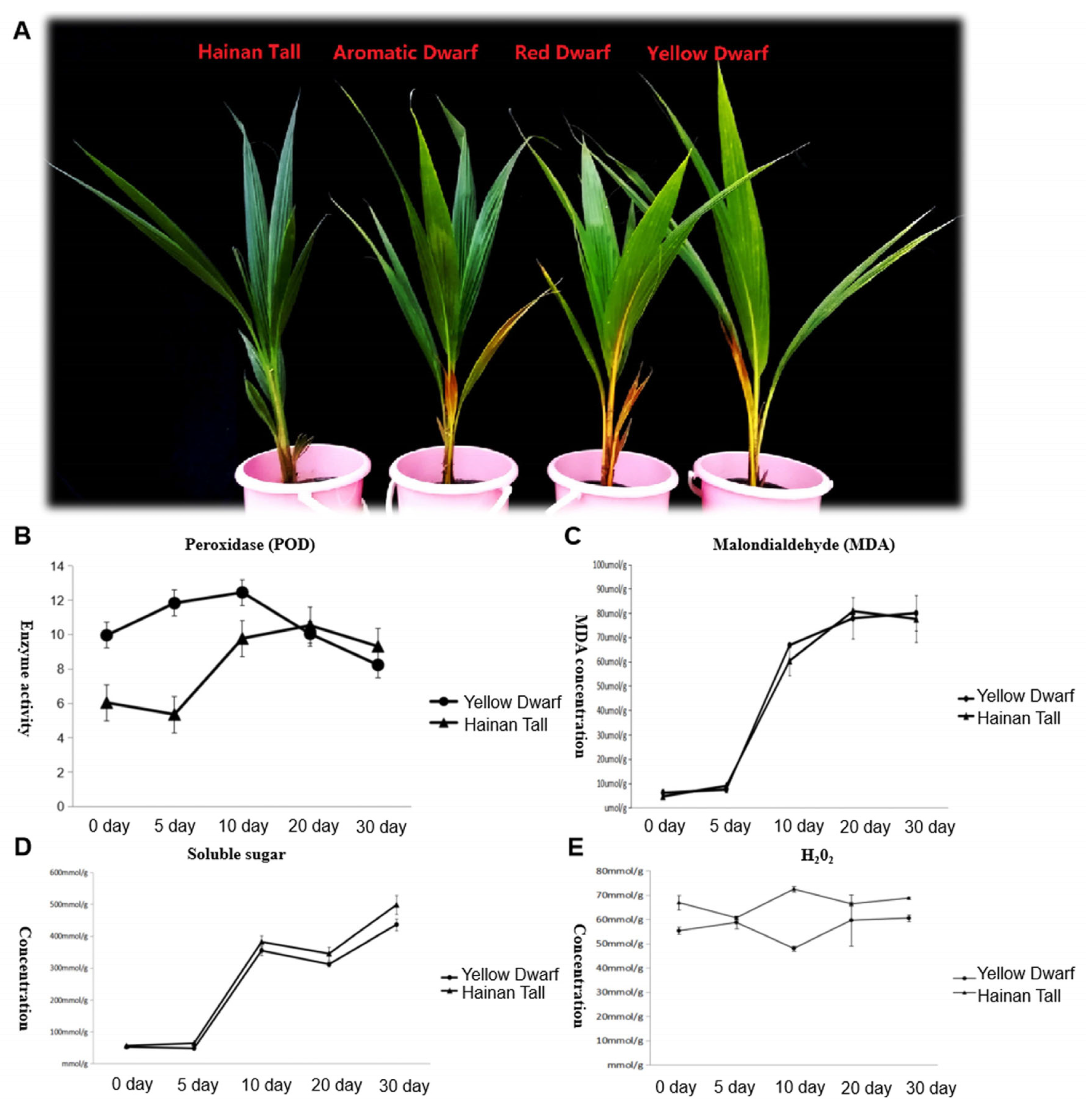 Plants 13 00141 g001 Plants 13 00141 g001