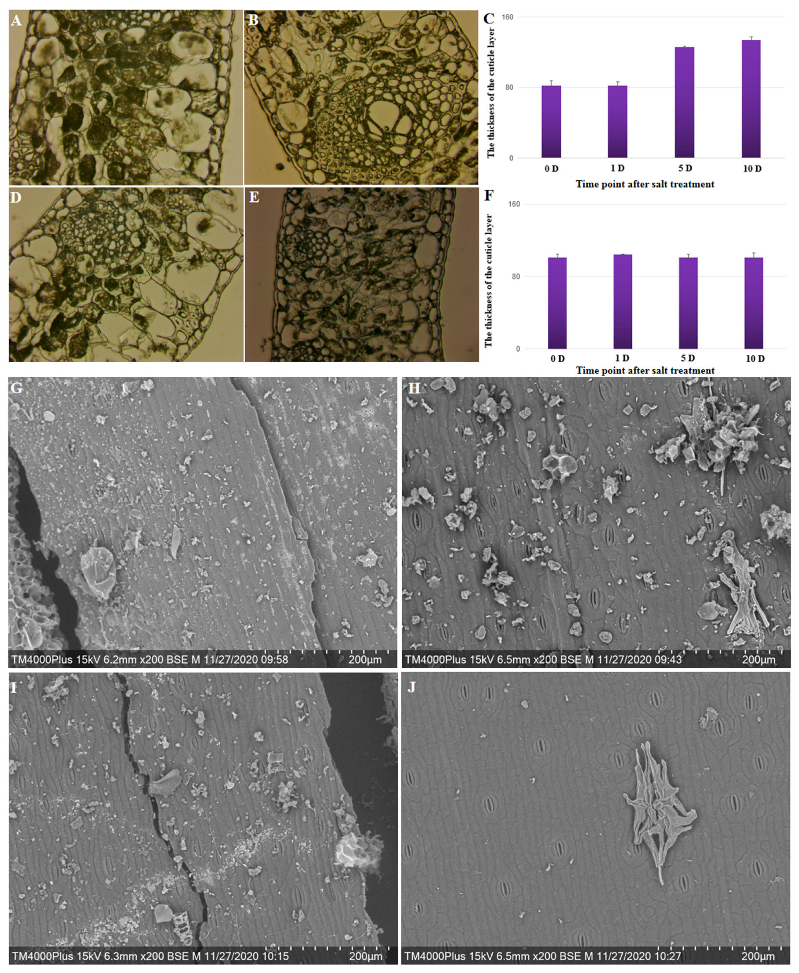 Plants 13 00141 g004 Plants 13 00141 g004