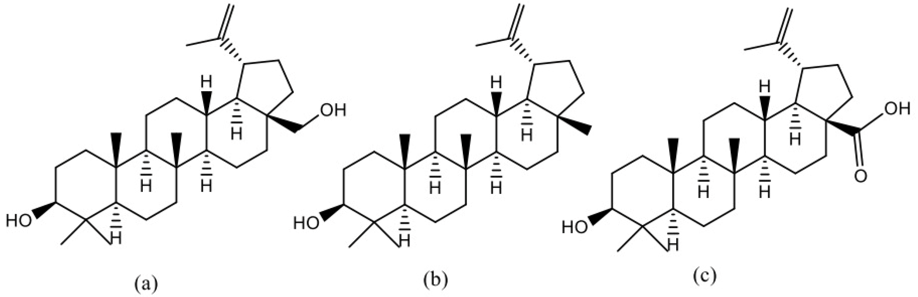 Plants 13 00145 g005