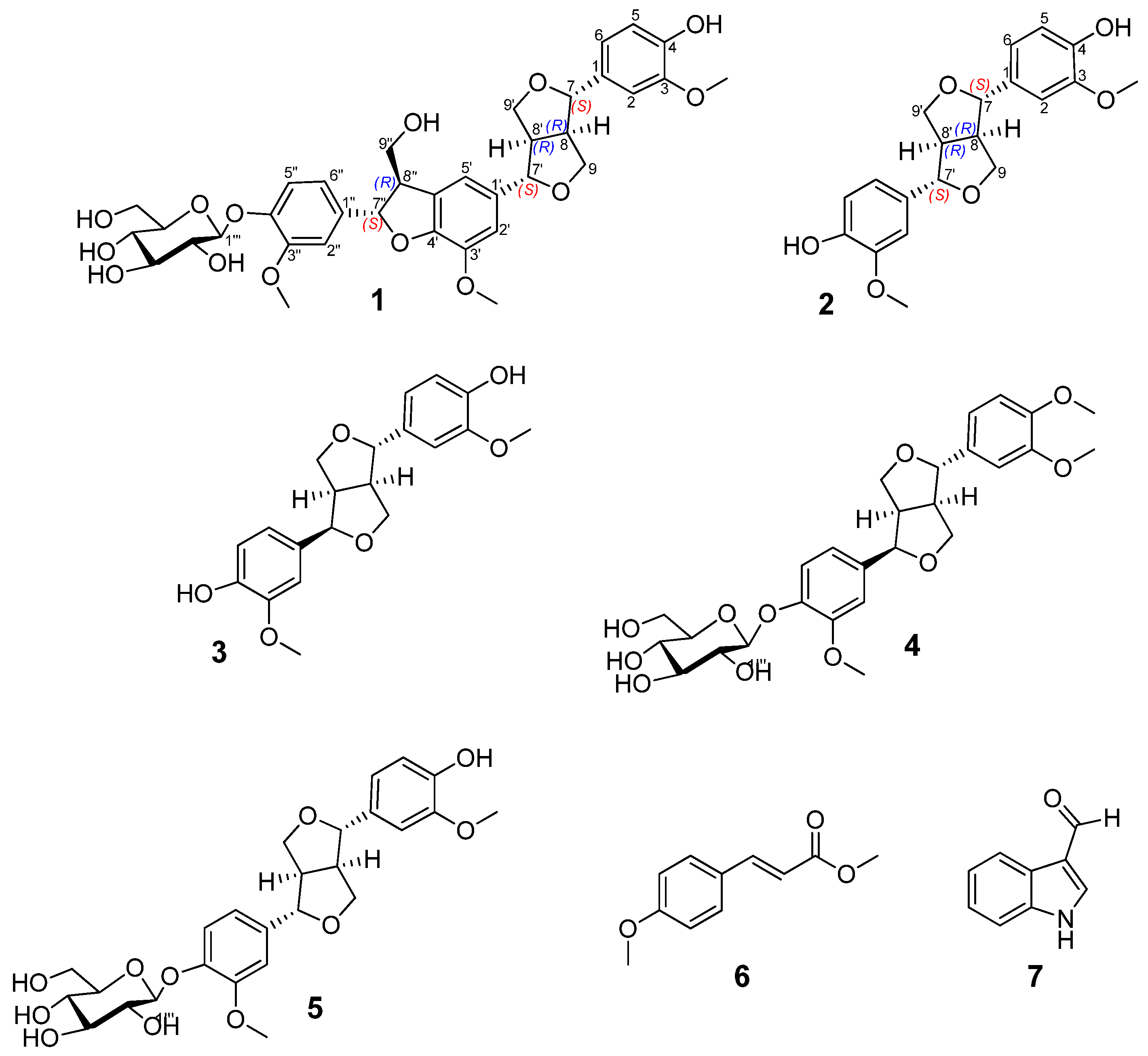 Plants 13 00150 g001