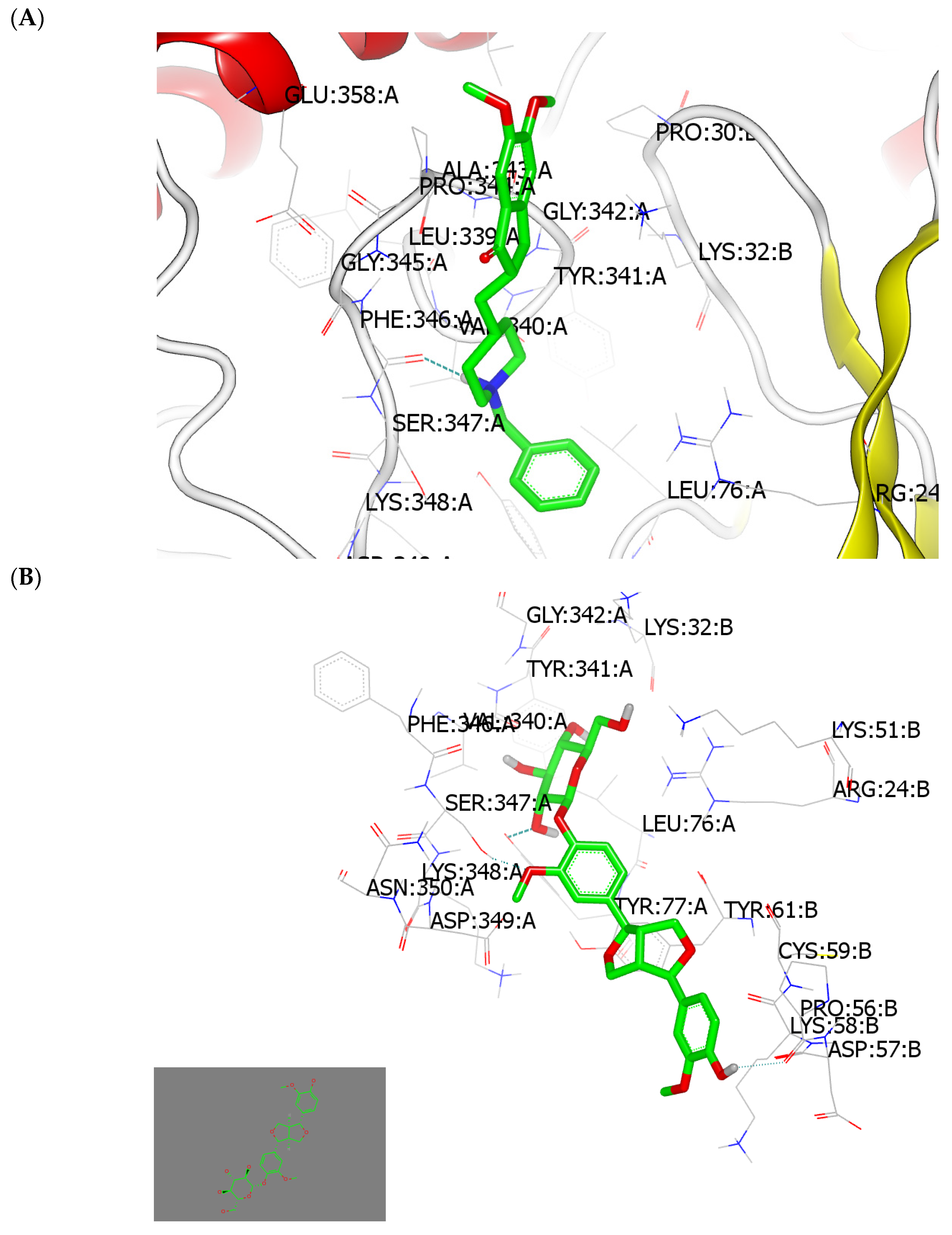 Plants 13 00150 g003a