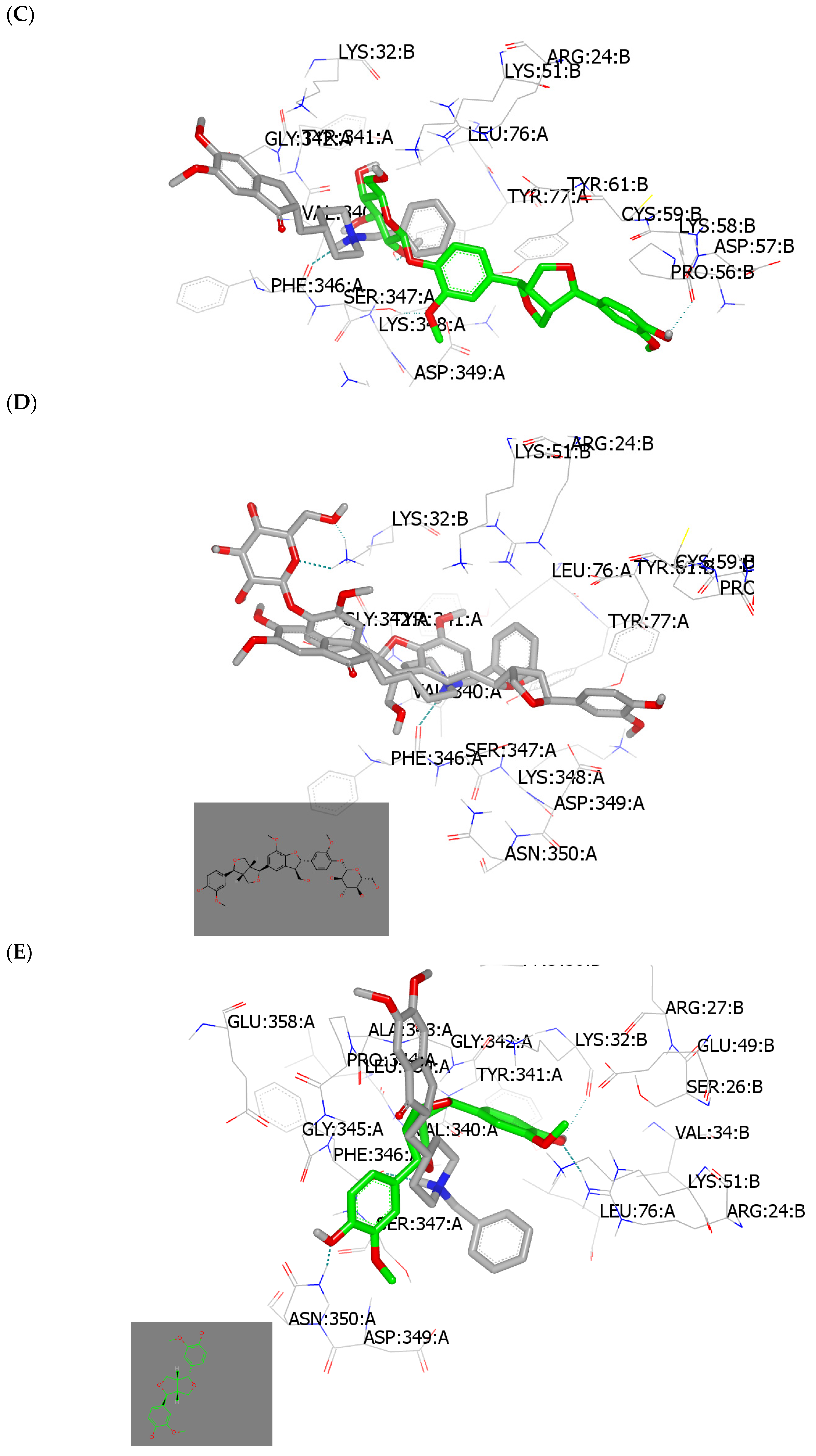 Plants 13 00150 g003b