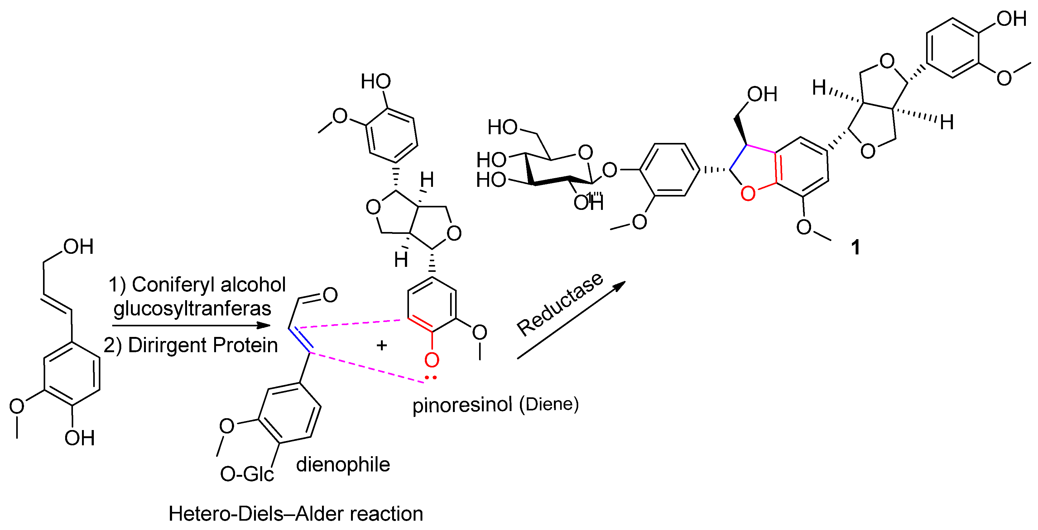 Plants 13 00150 sch001