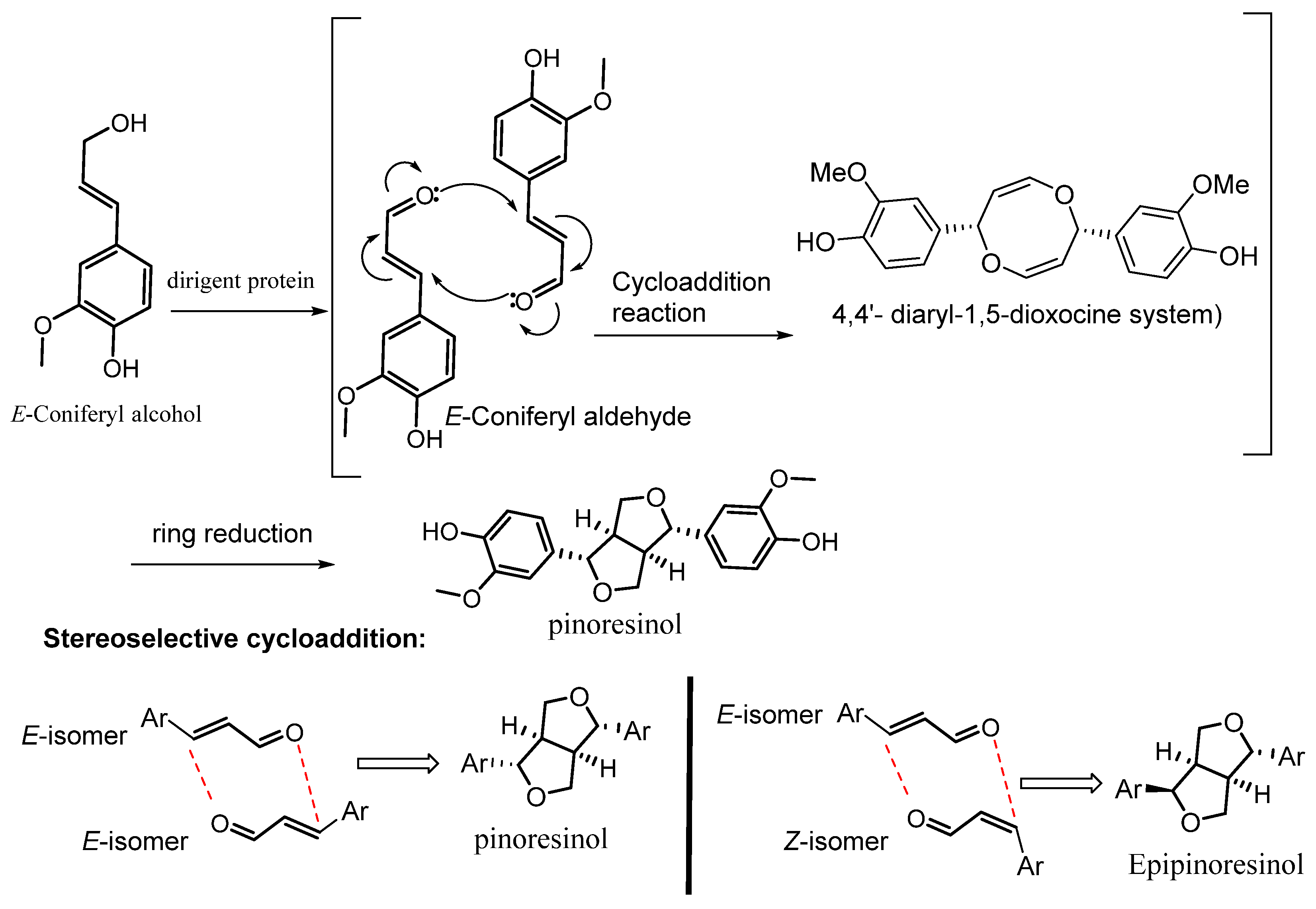 Plants 13 00150 sch002