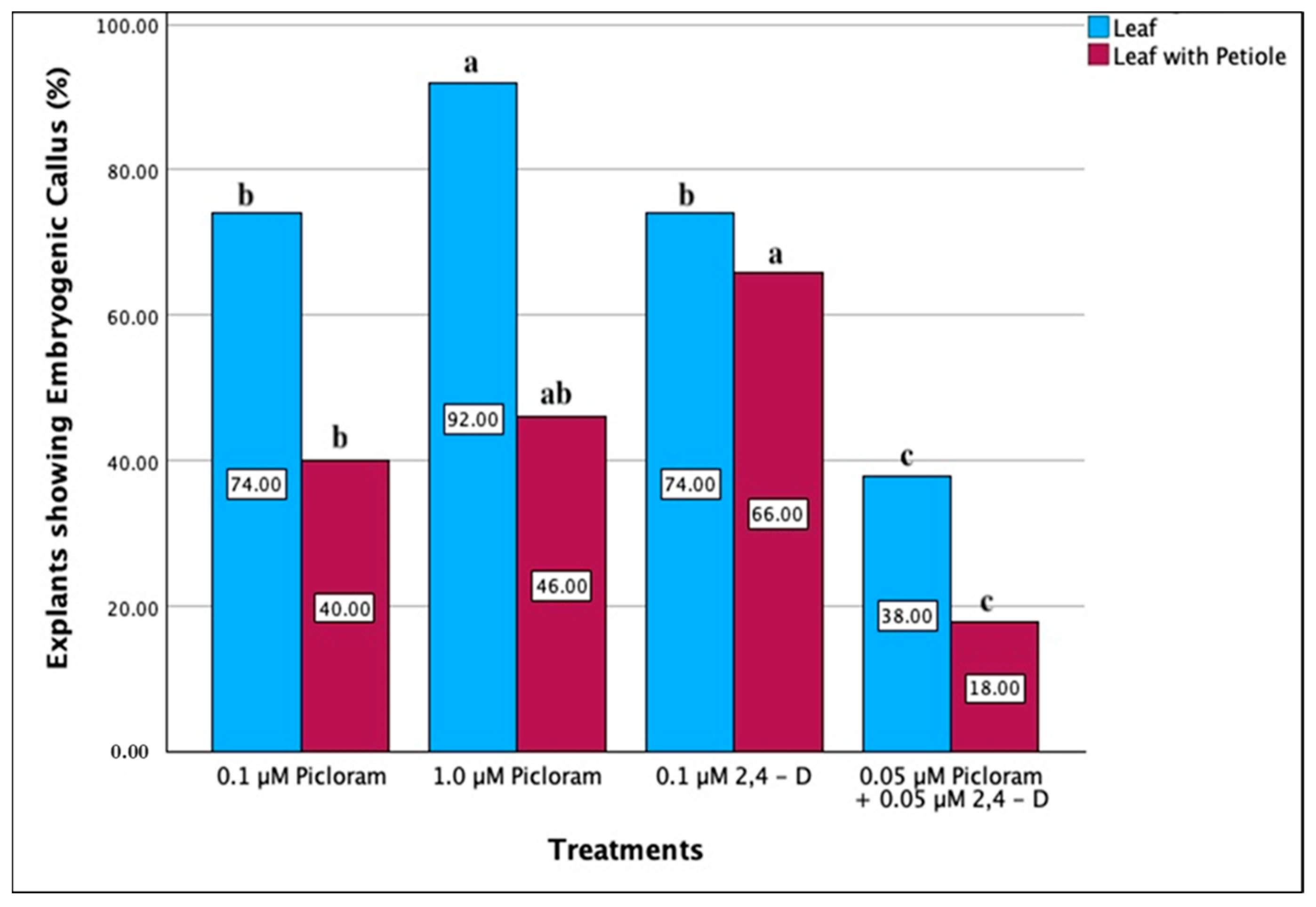 Plants 13 00151 g001 Plants 13 00151 g001