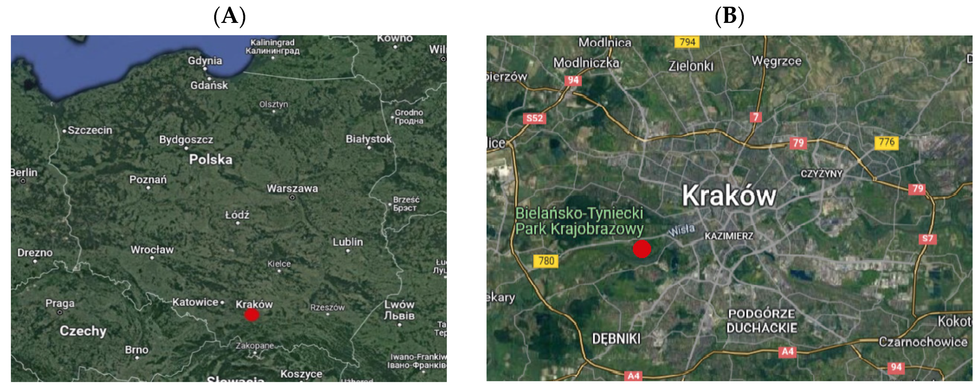 Plants 13 00152 g007