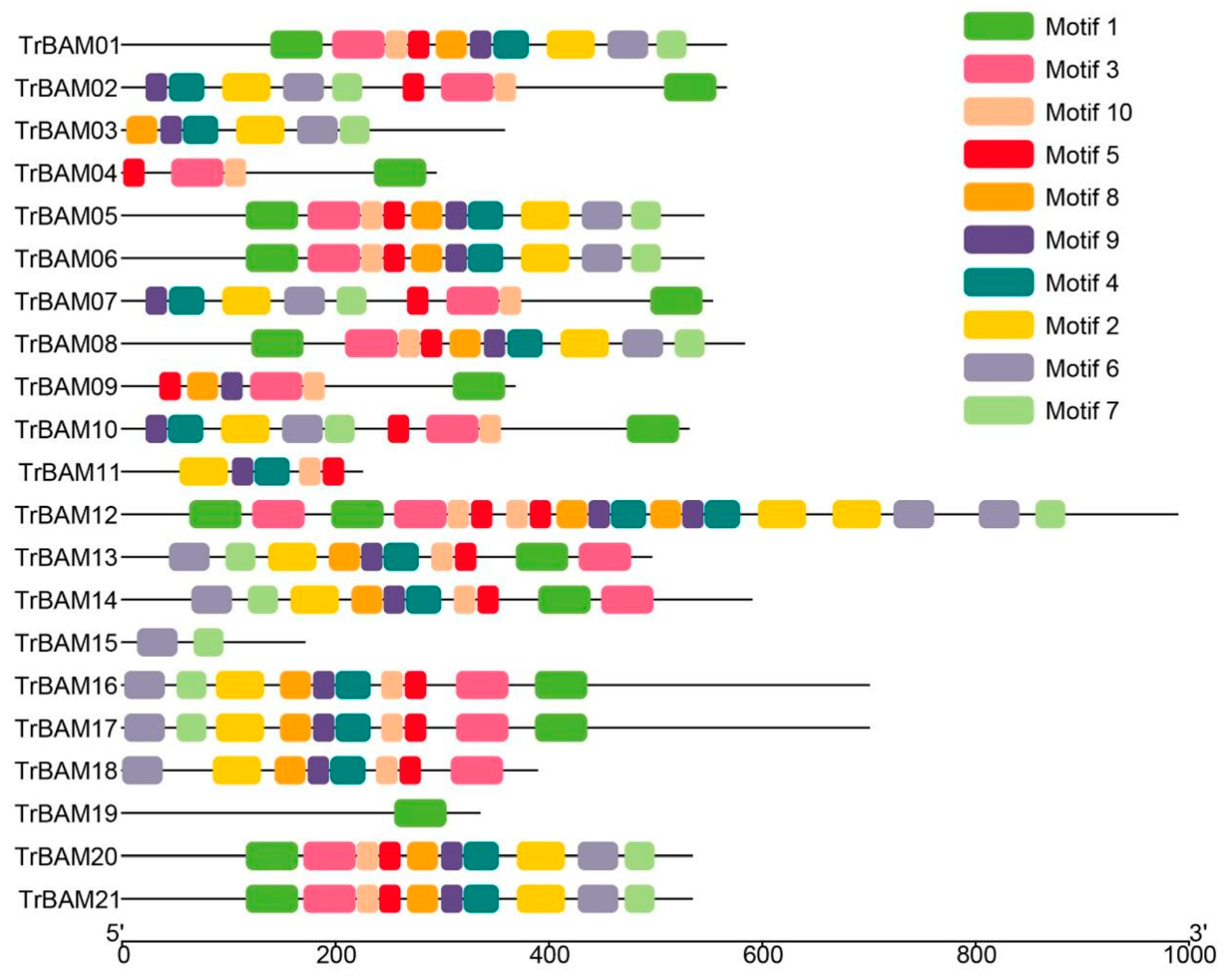 Plants 13 00154 g002