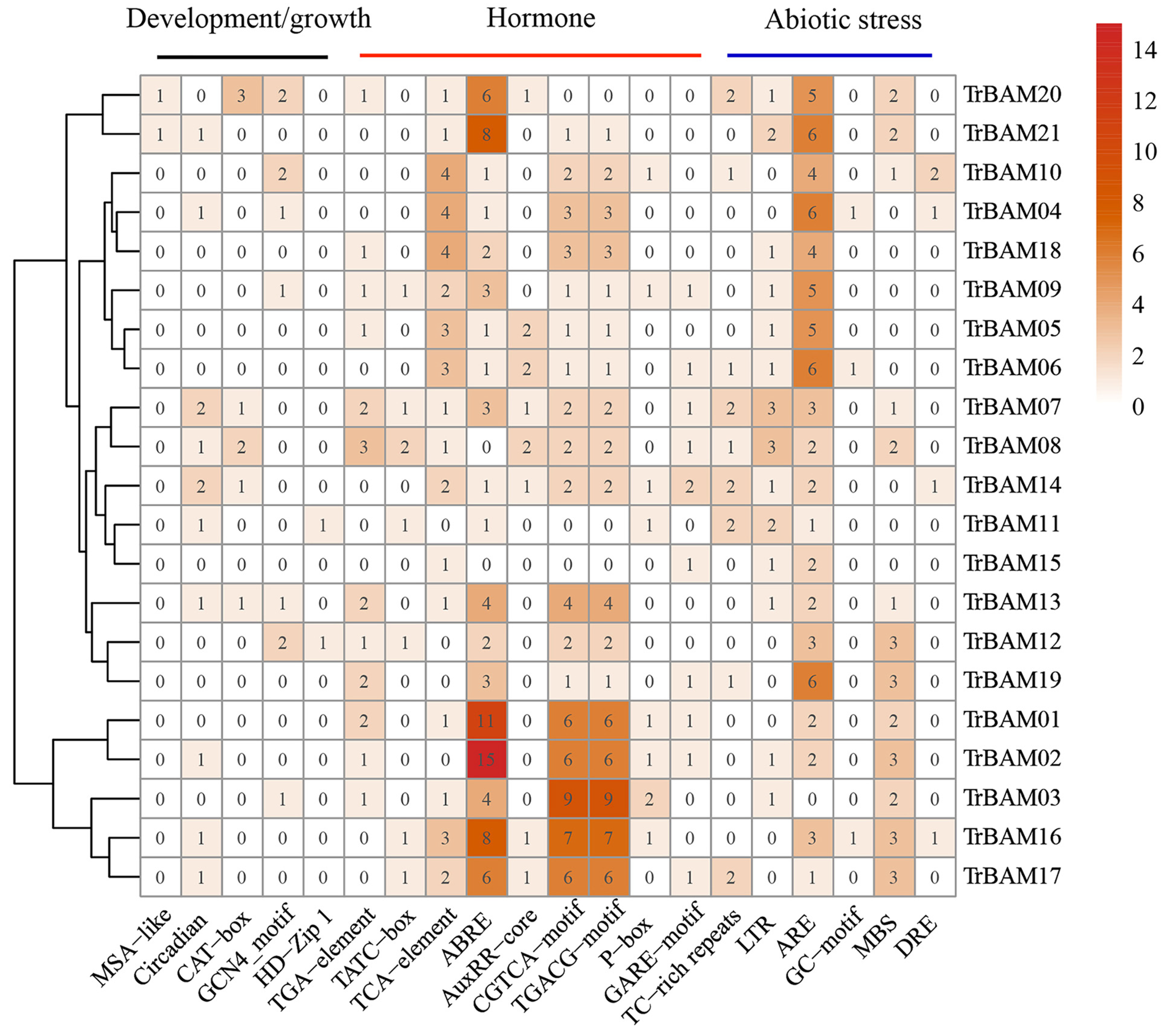Plants 13 00154 g003