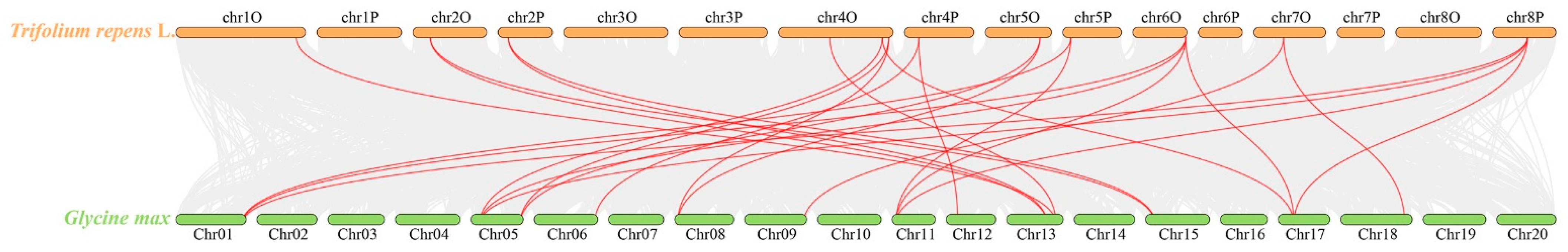Plants 13 00154 g005