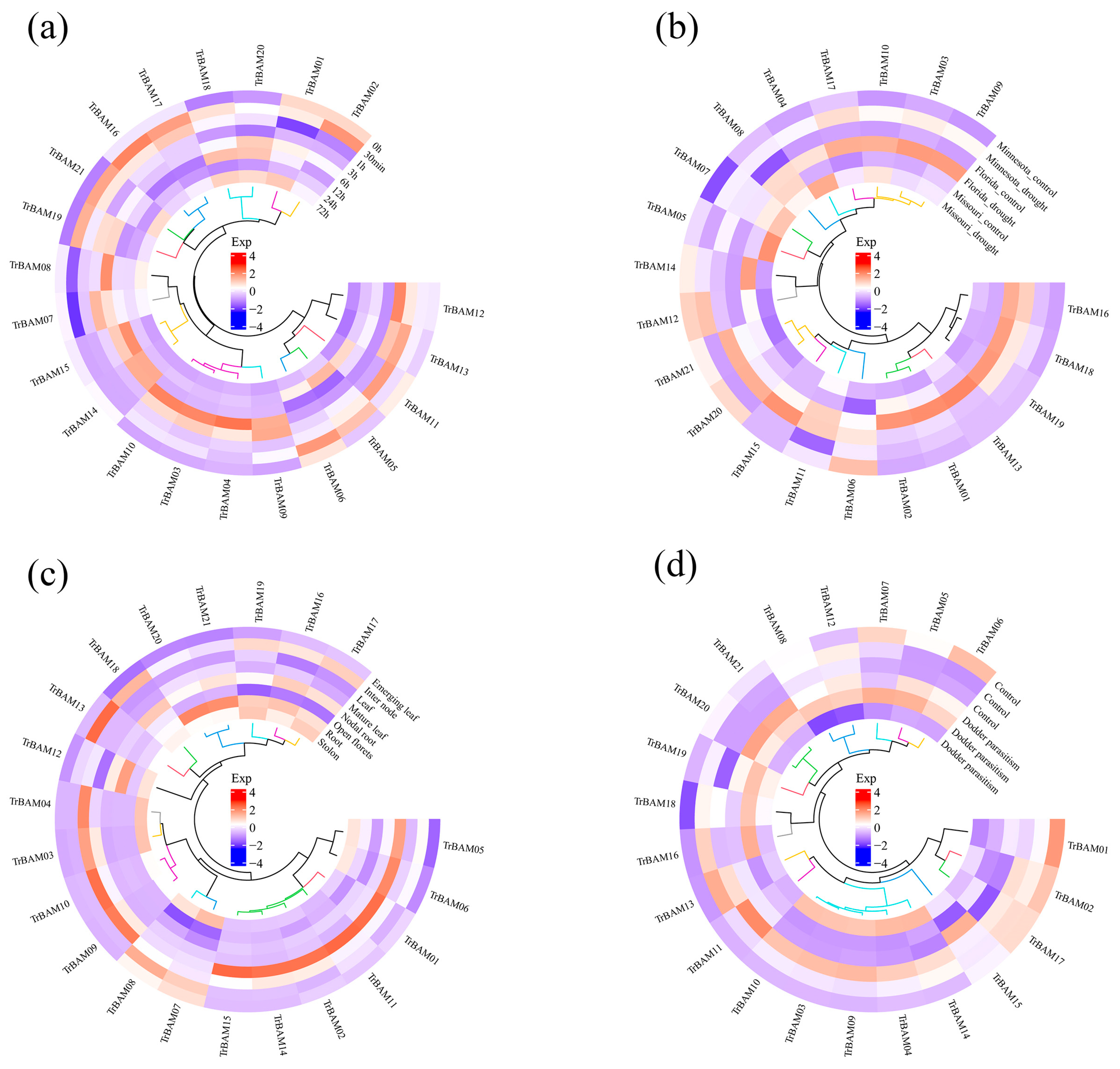Plants 13 00154 g007