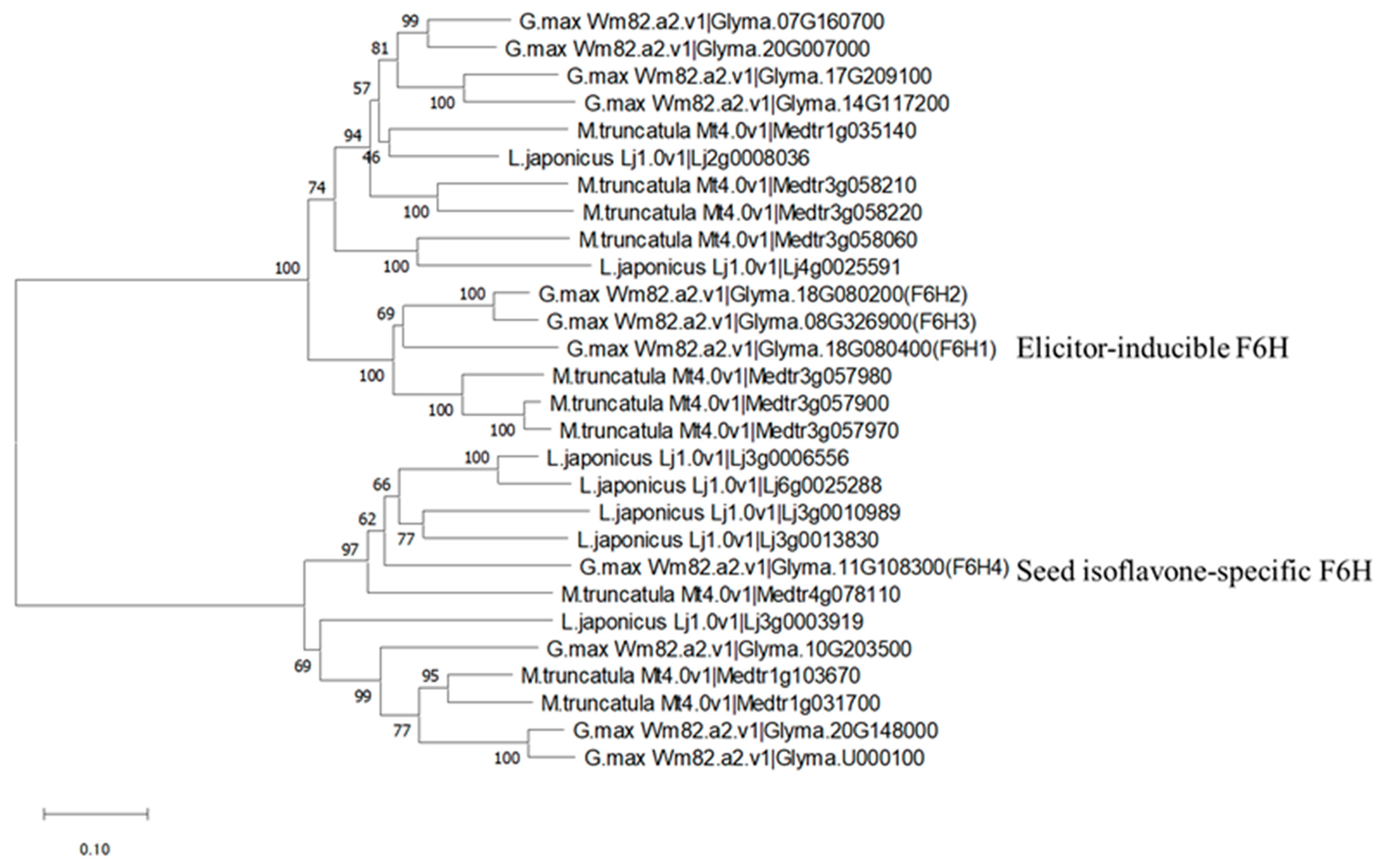 Plants 13 00156 g006 Plants 13 00156 g006