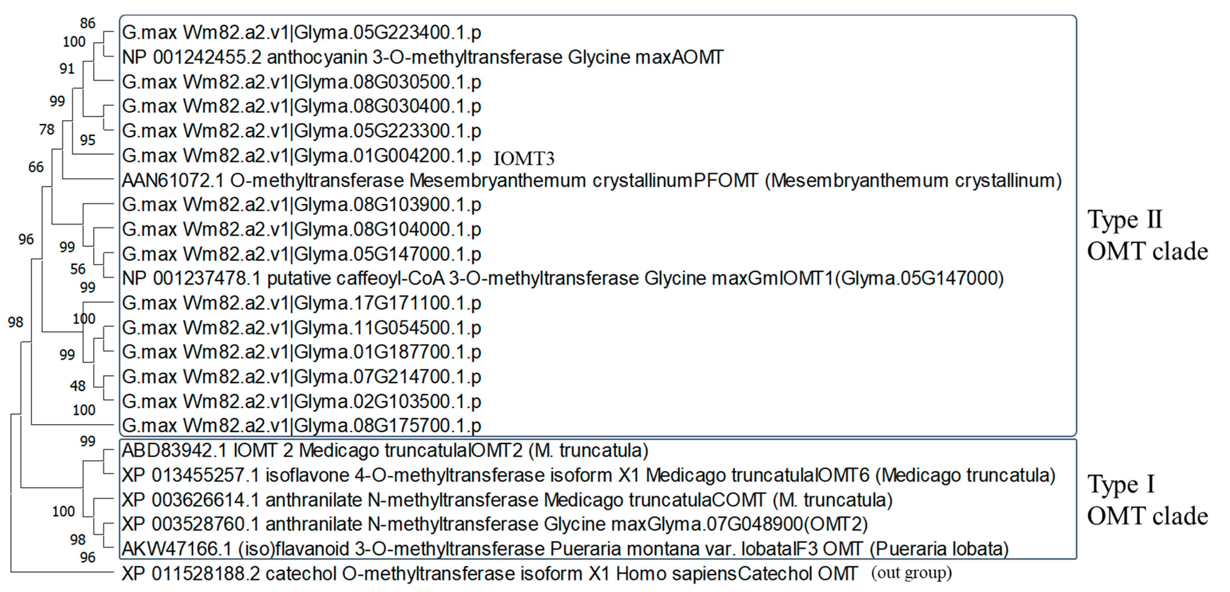 Plants 13 00156 g009 Plants 13 00156 g009