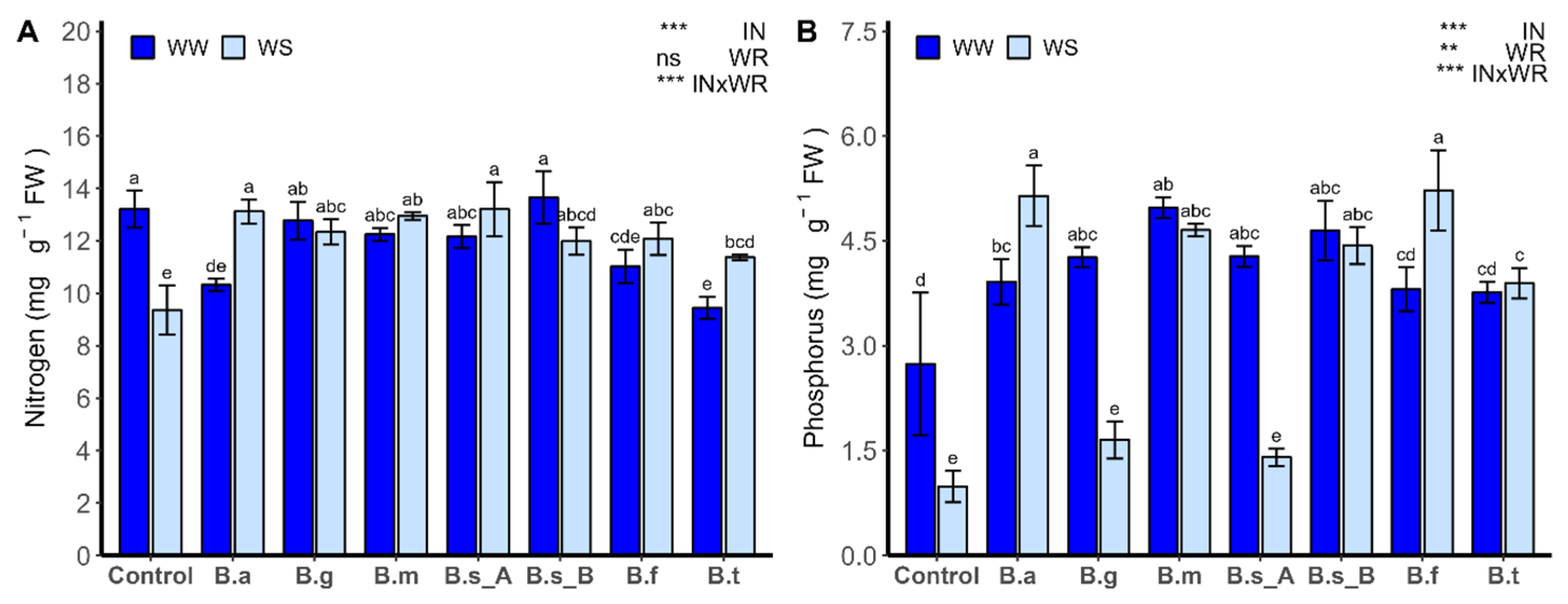 Plants 13 00158 g004