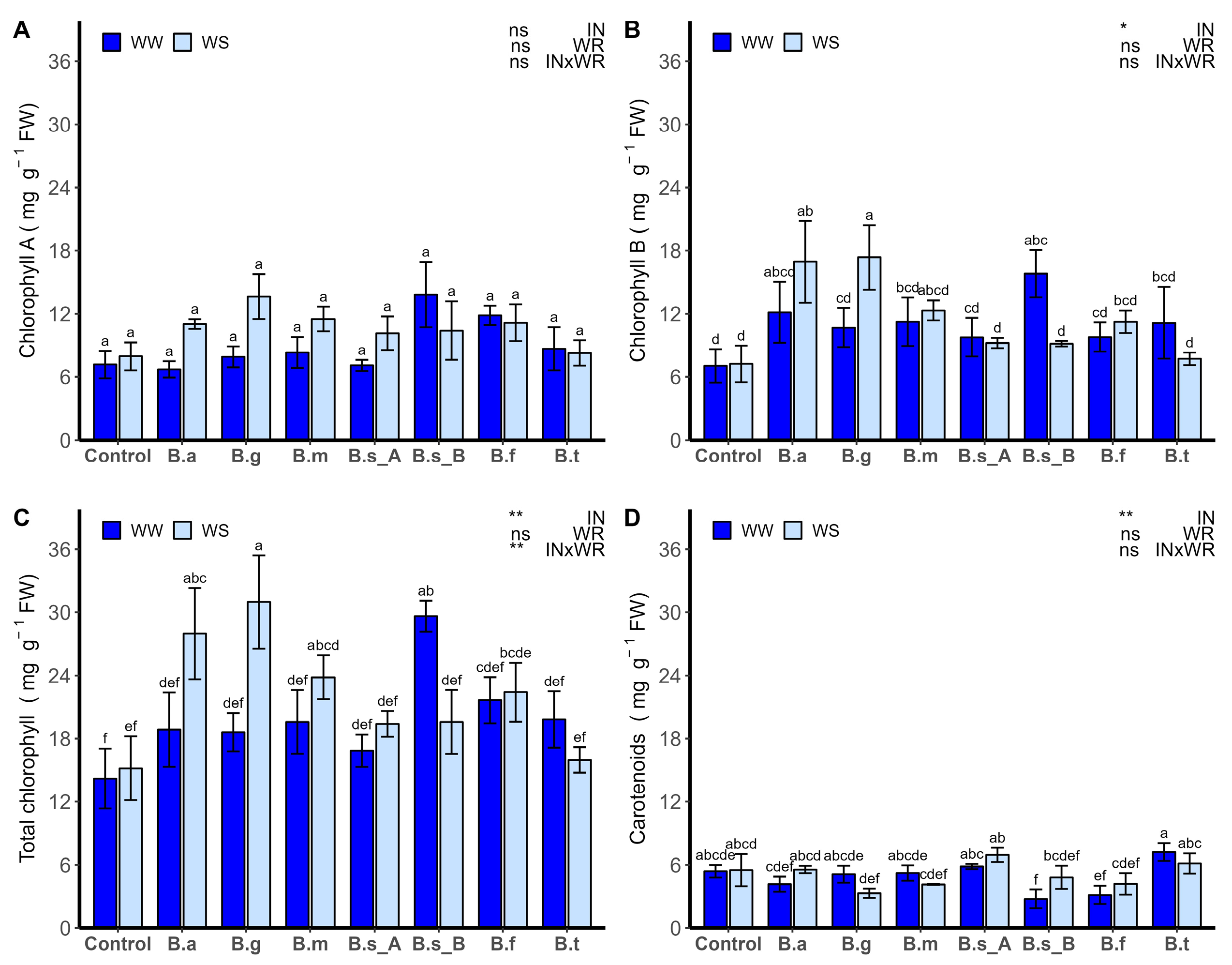 Plants 13 00158 g005