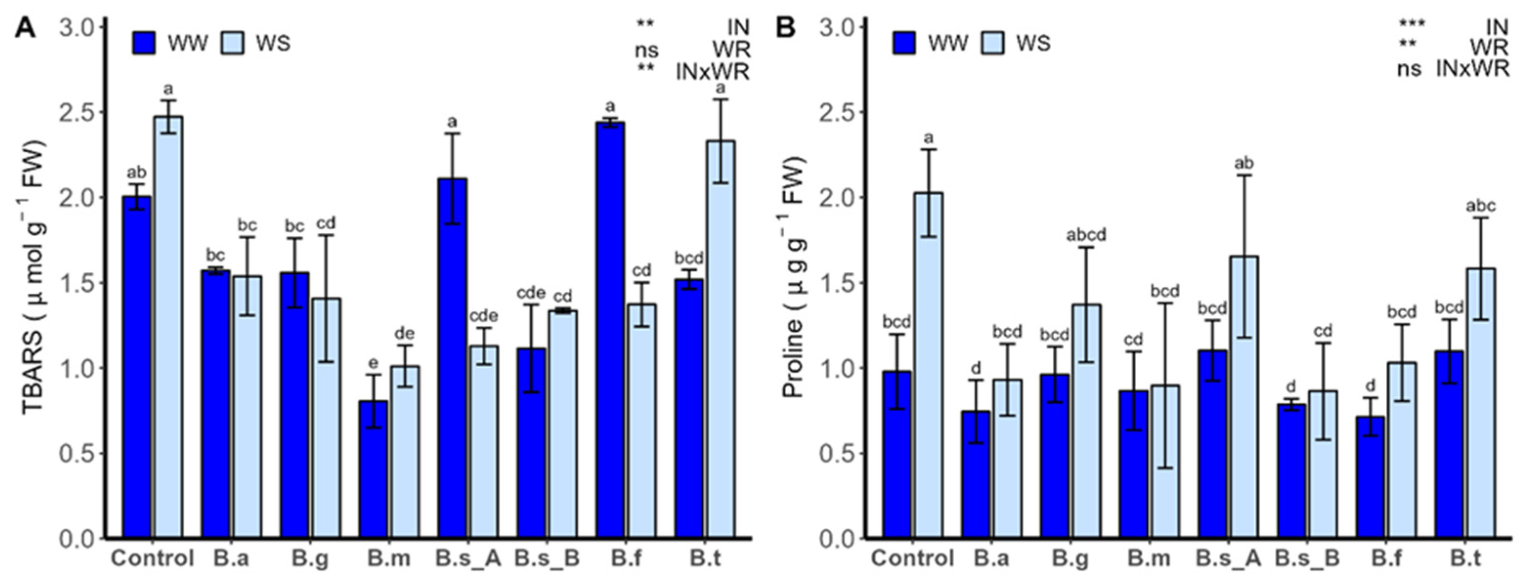 Plants 13 00158 g007