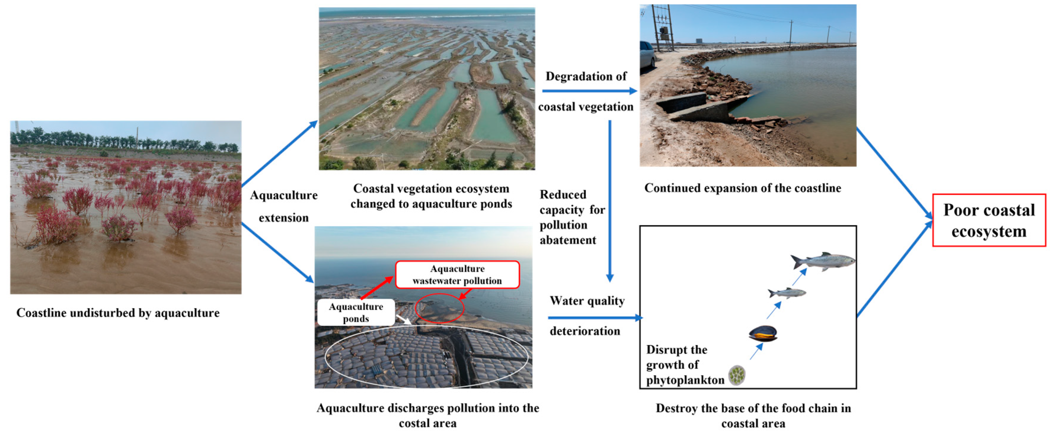 Plants 13 00160 g008