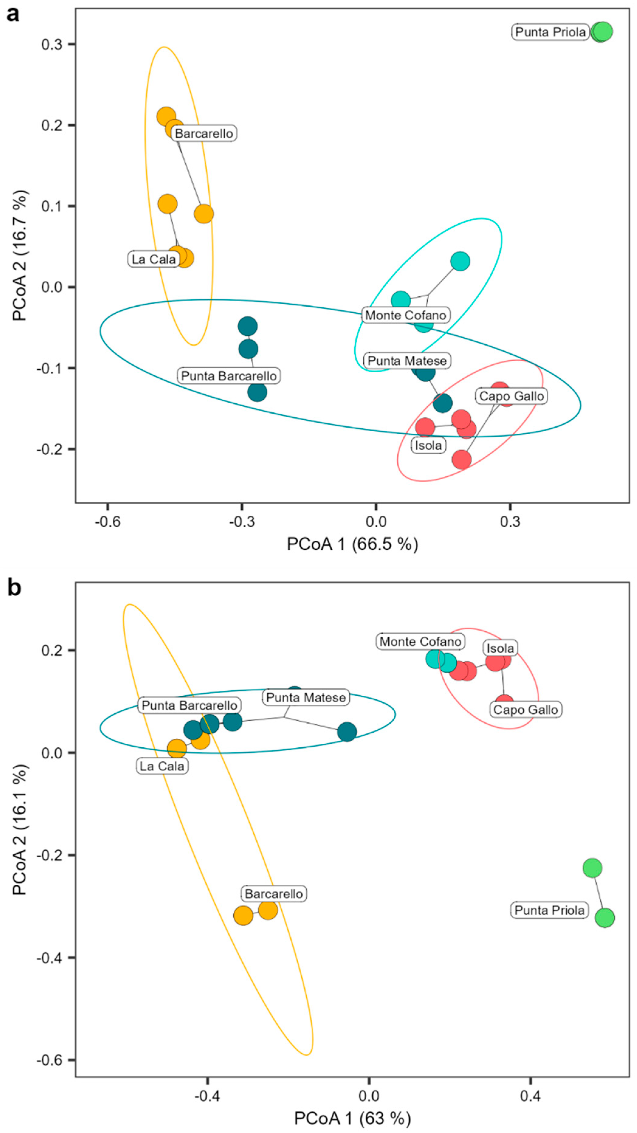 Plants 13 00162 g005