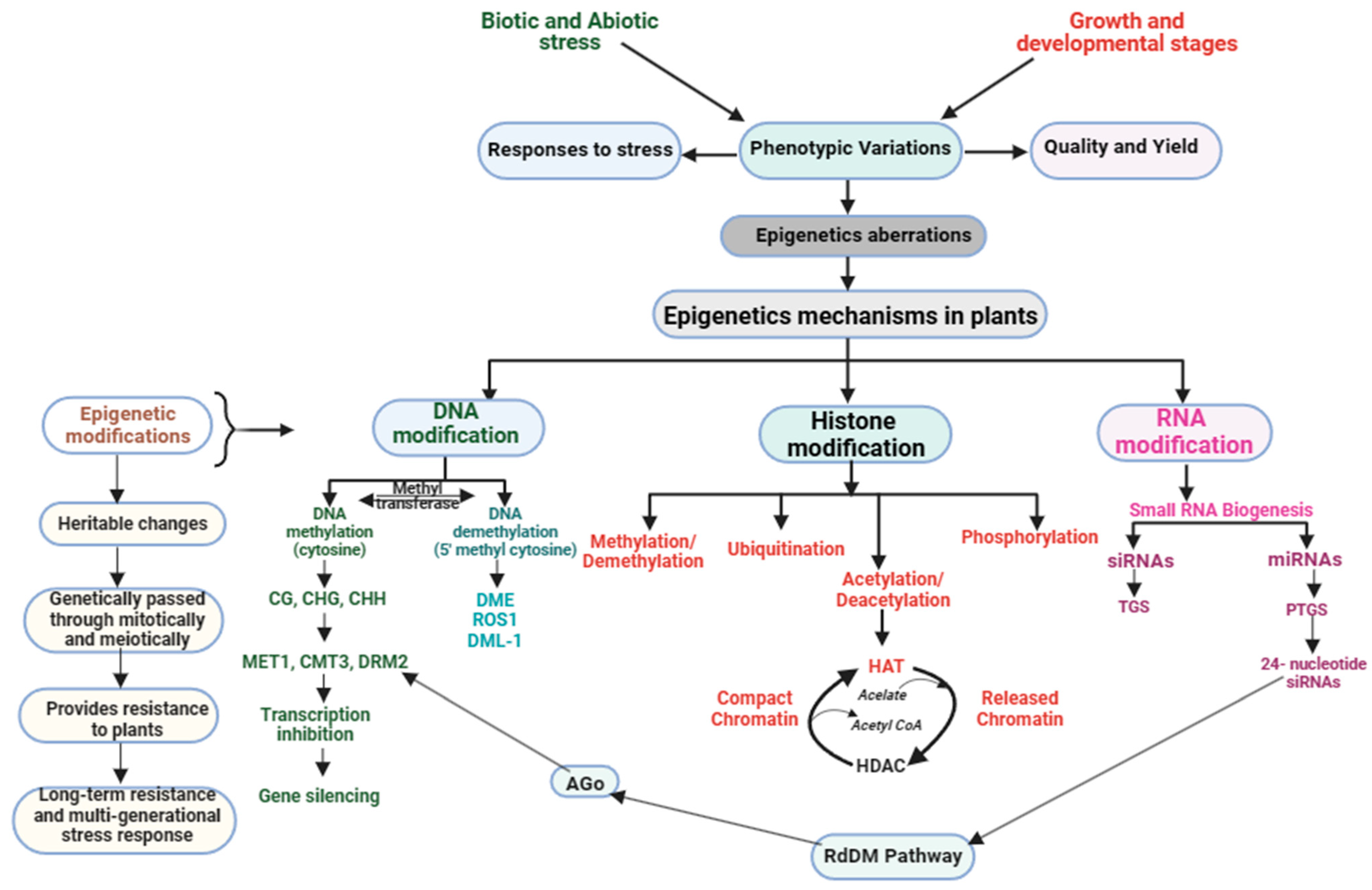 Plants 13 00163 g002
