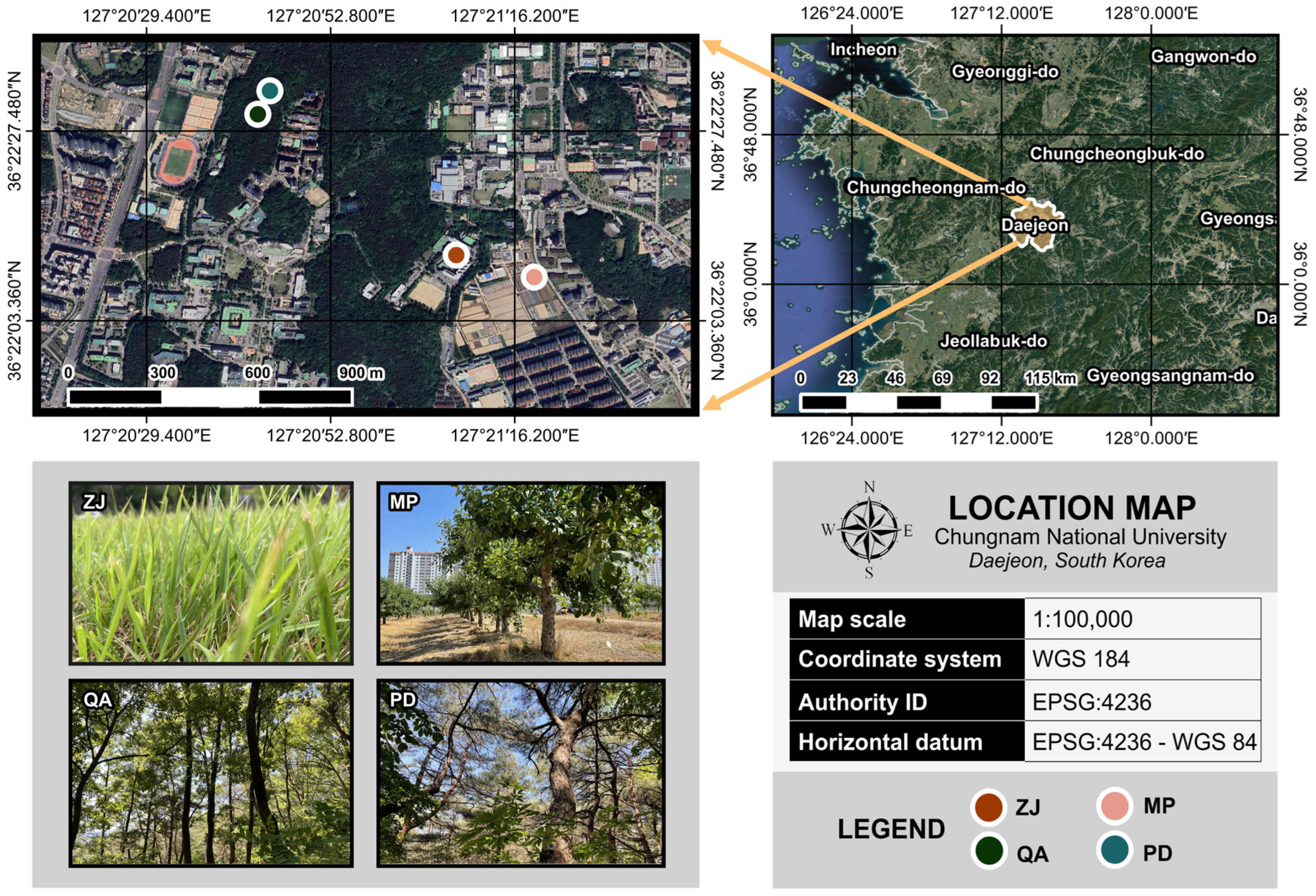 Plants 13 00164 g003