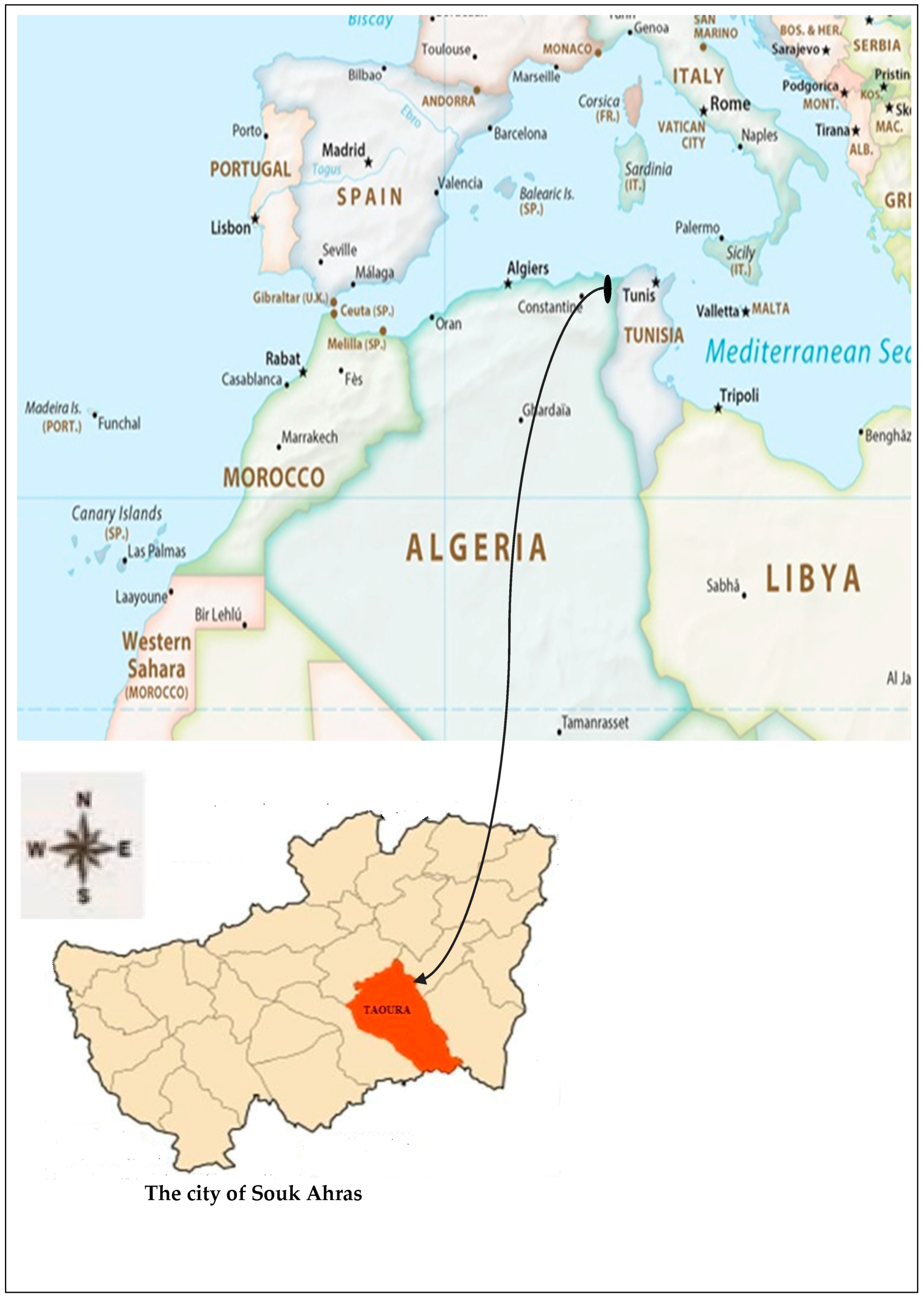 Plants 13 00176 g004