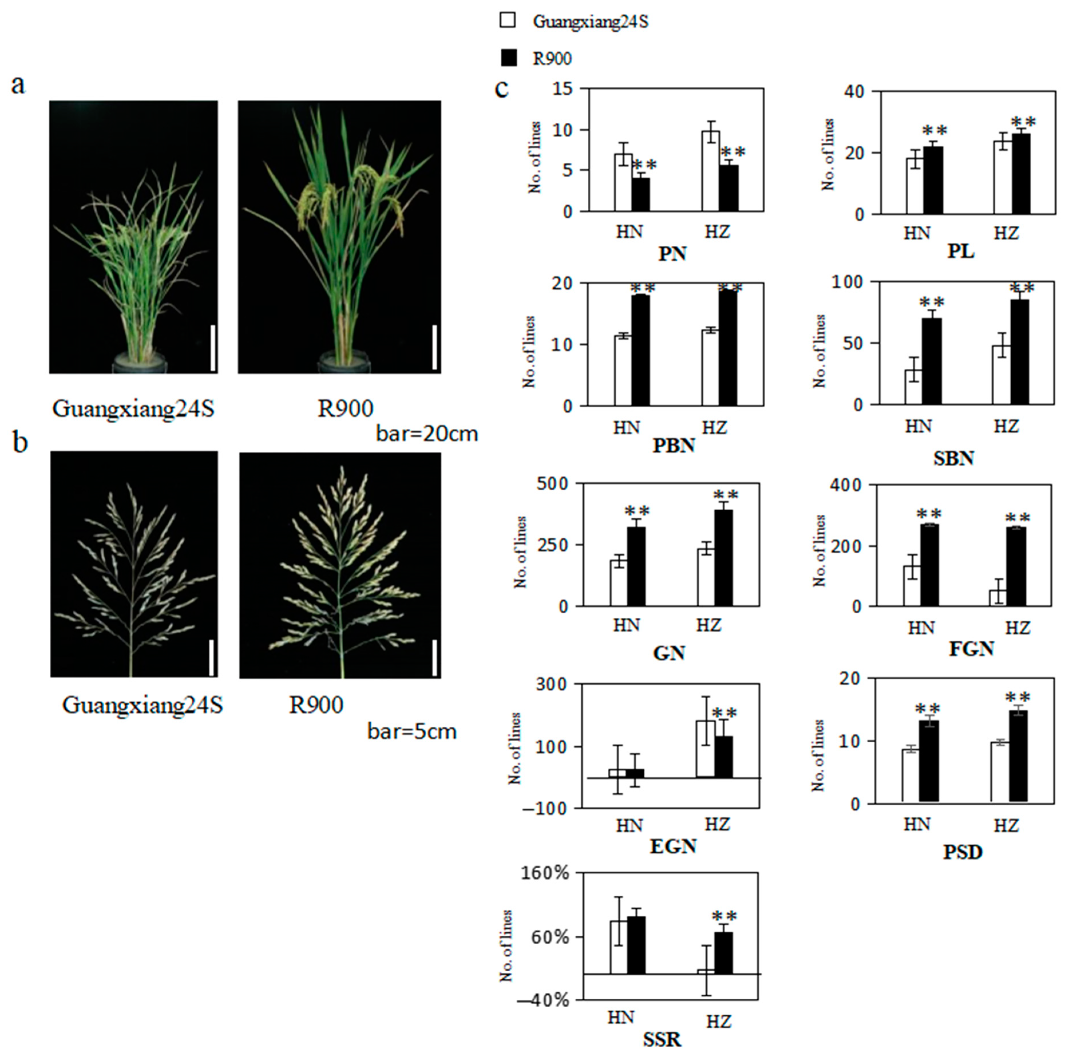 Plants 13 00179 g001