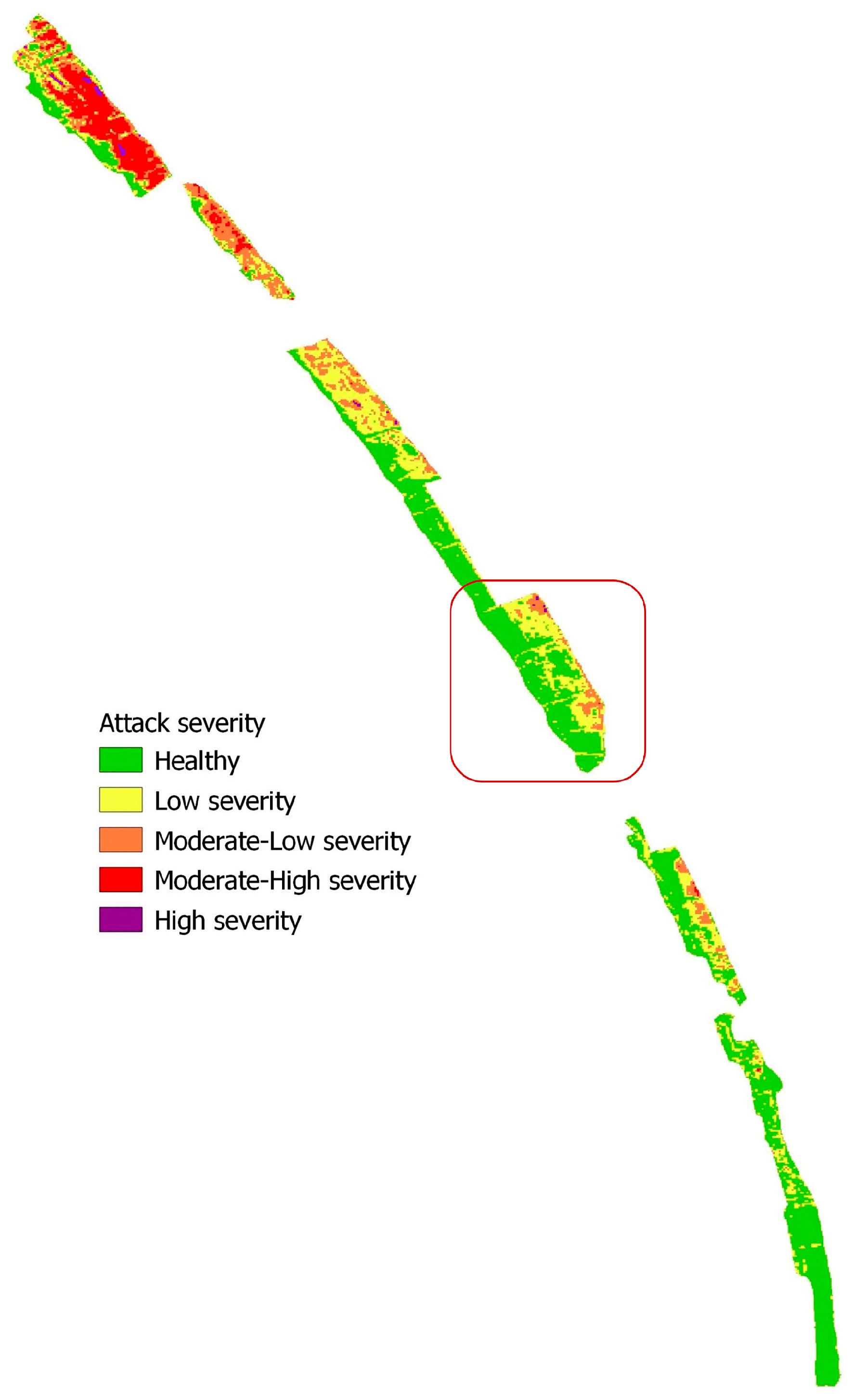 Plants 13 00182 g005