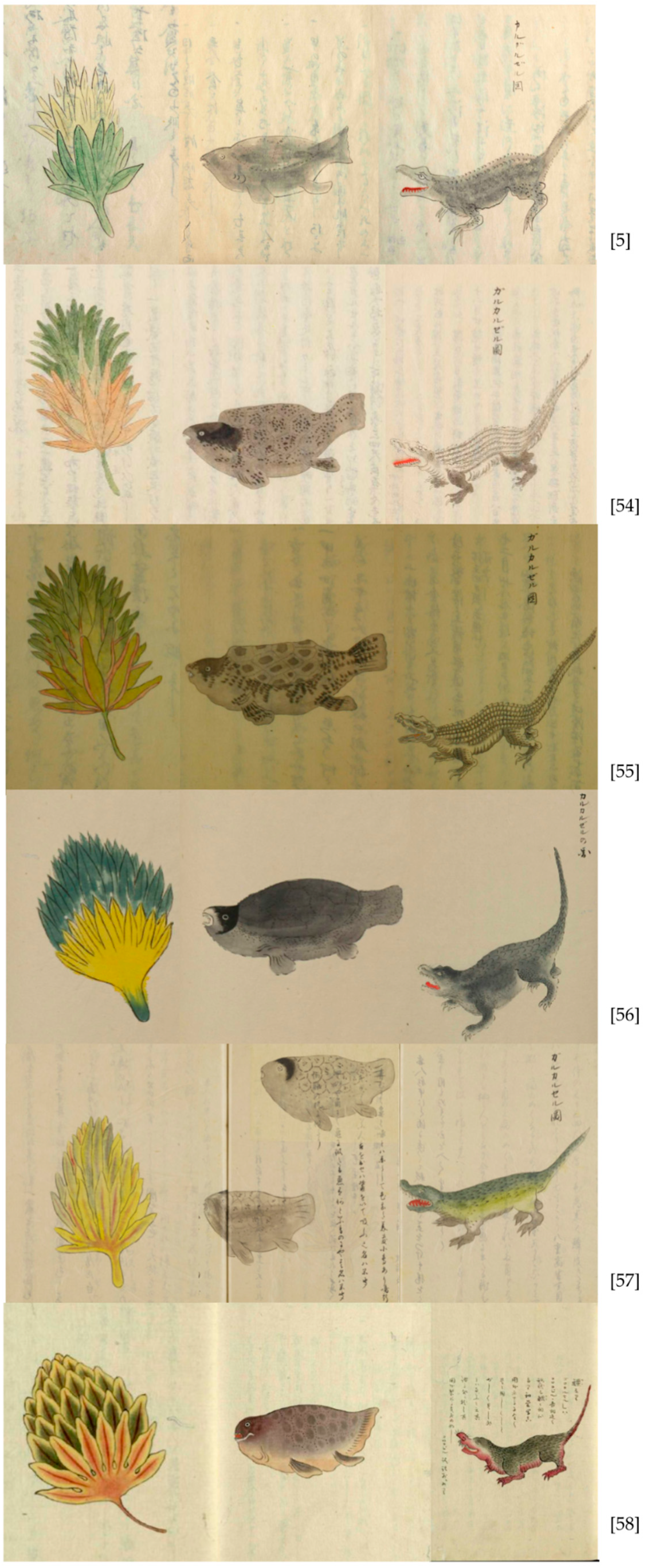 Plants 13 00188 g001