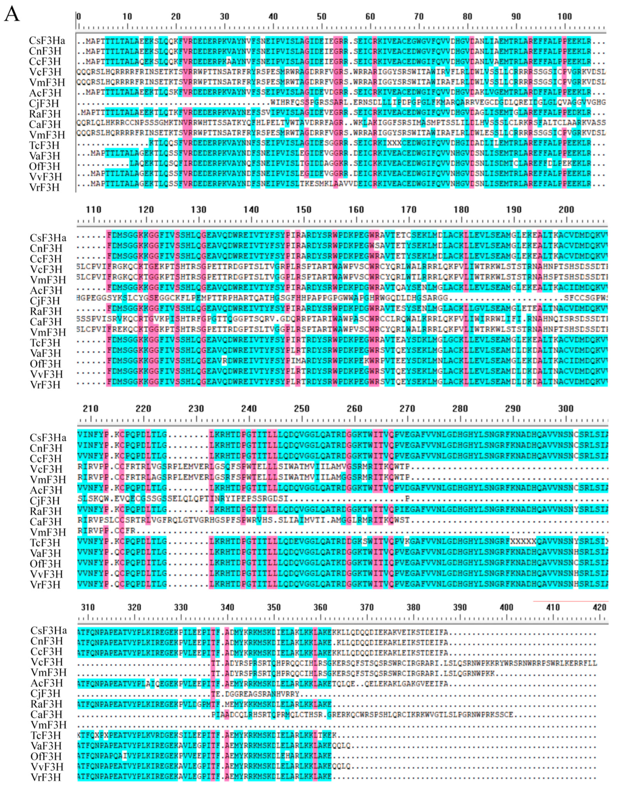 Plants 13 00196 g003a