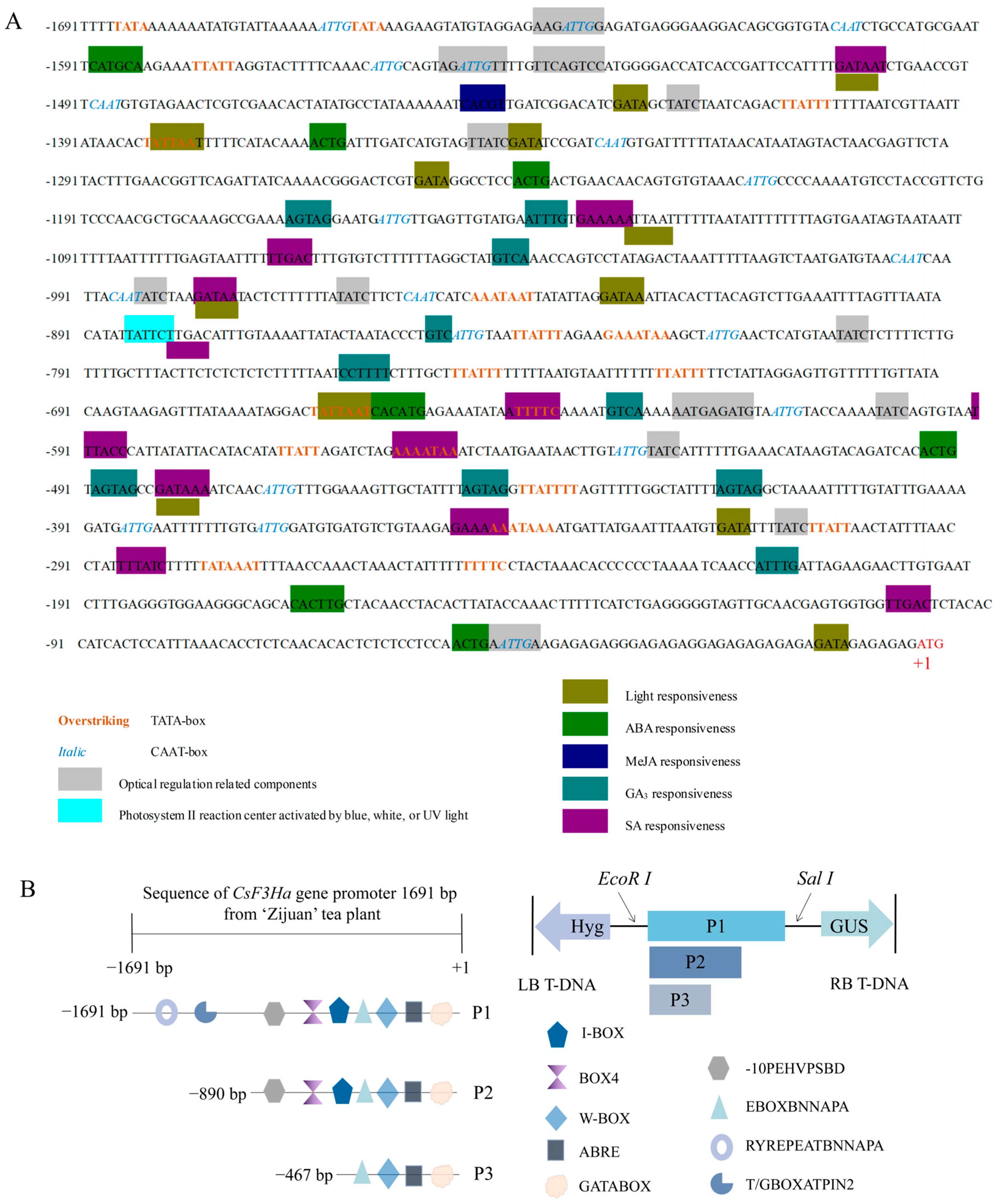 Plants 13 00196 g005