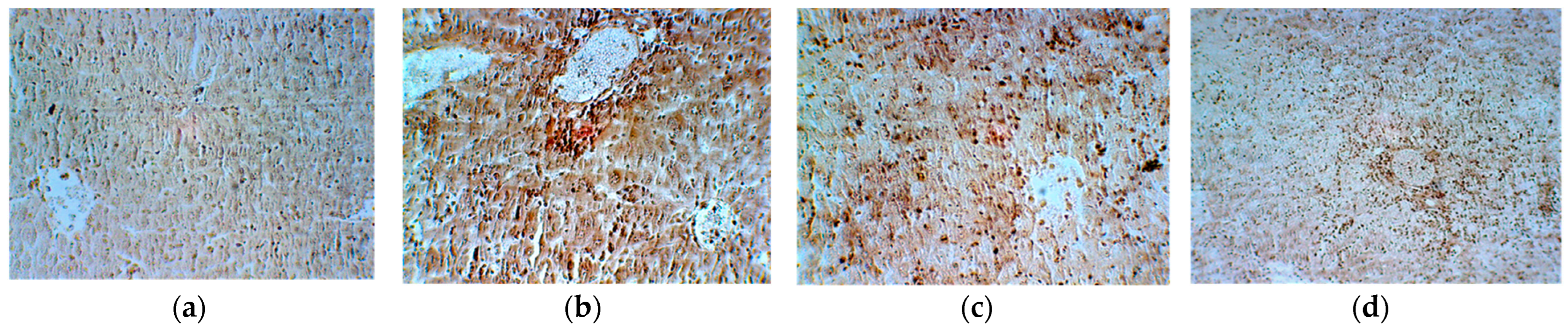 Plants 13 00198 g015