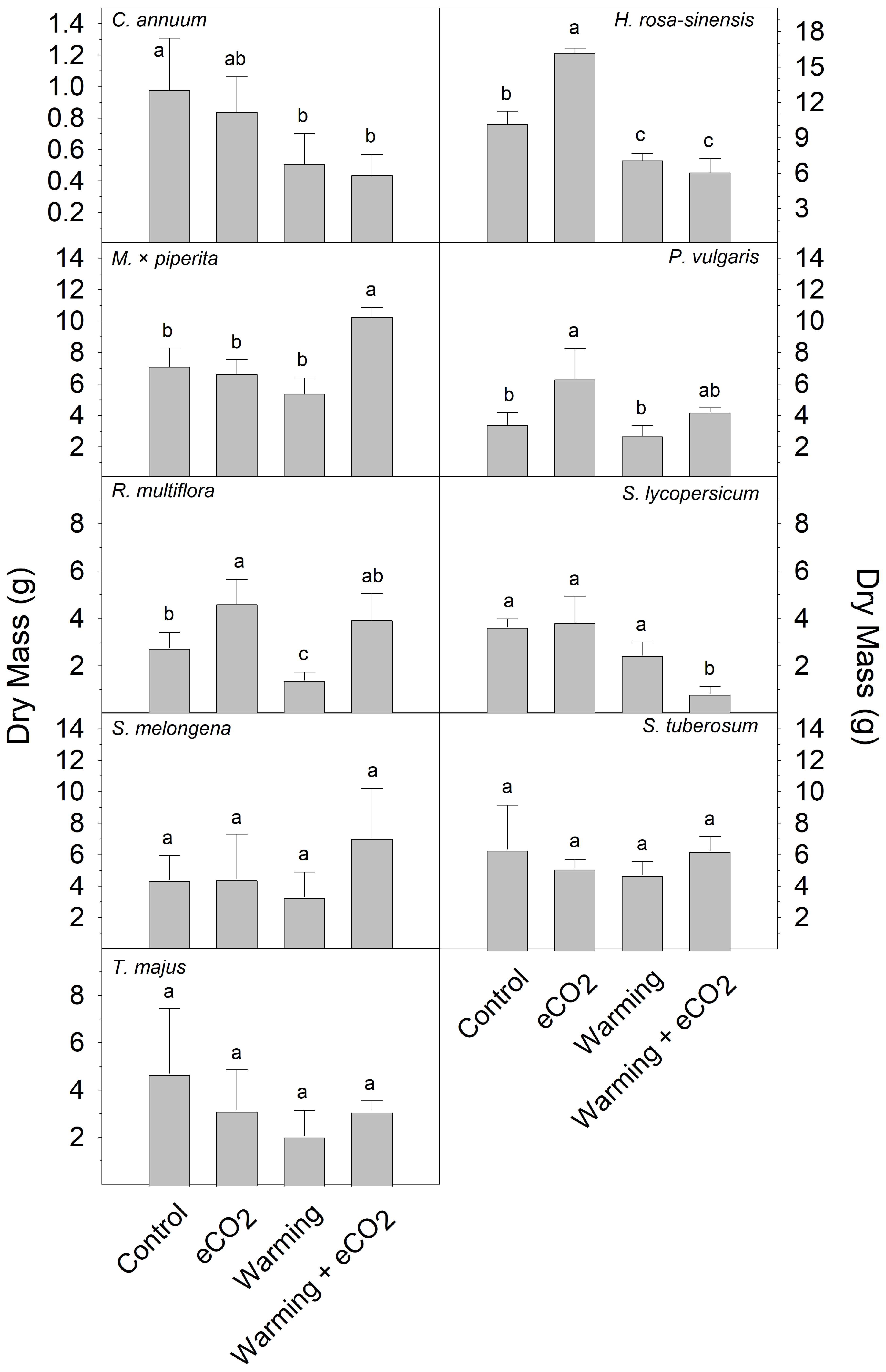 Plants 13 00204 g005