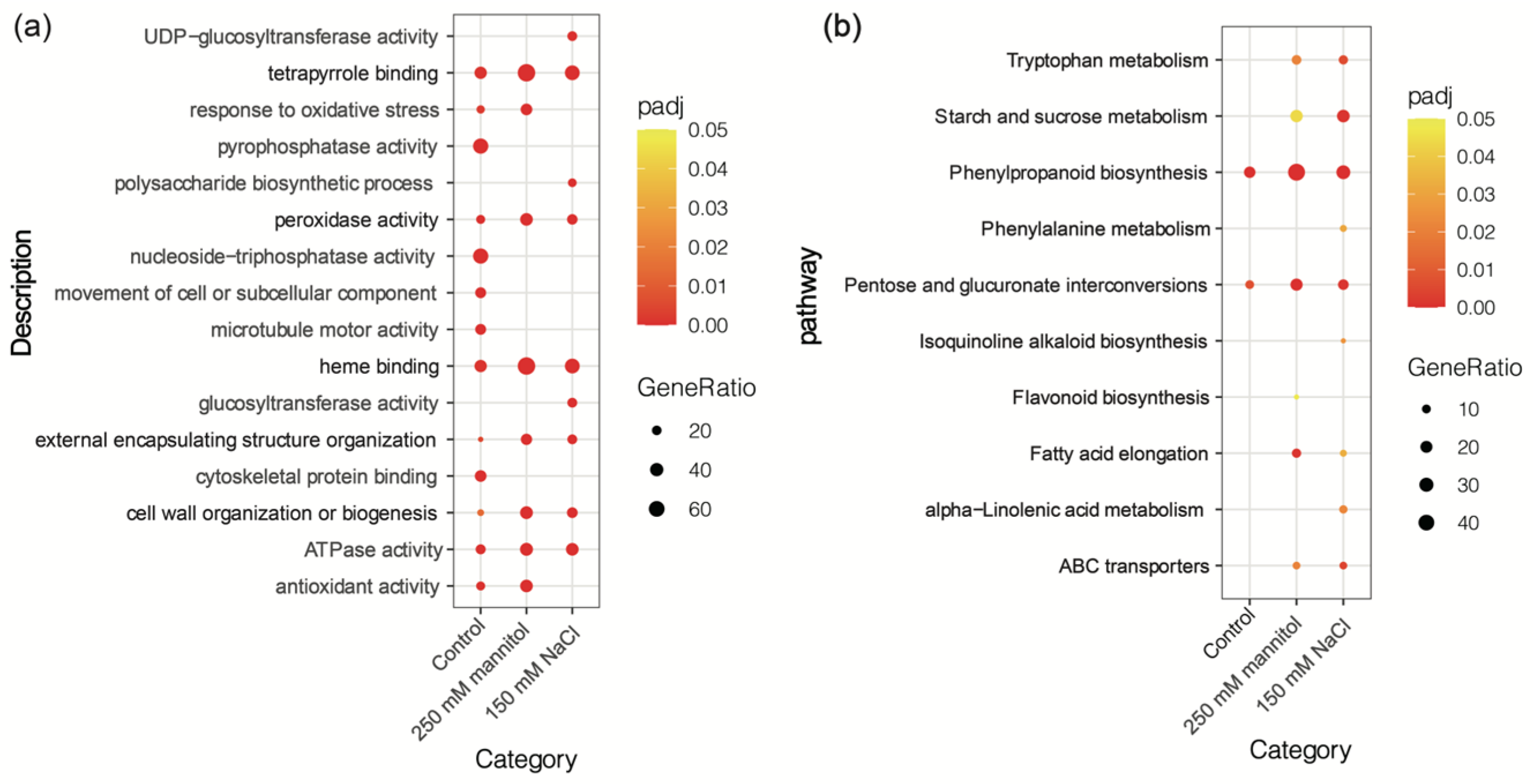 Plants 13 00205 g002