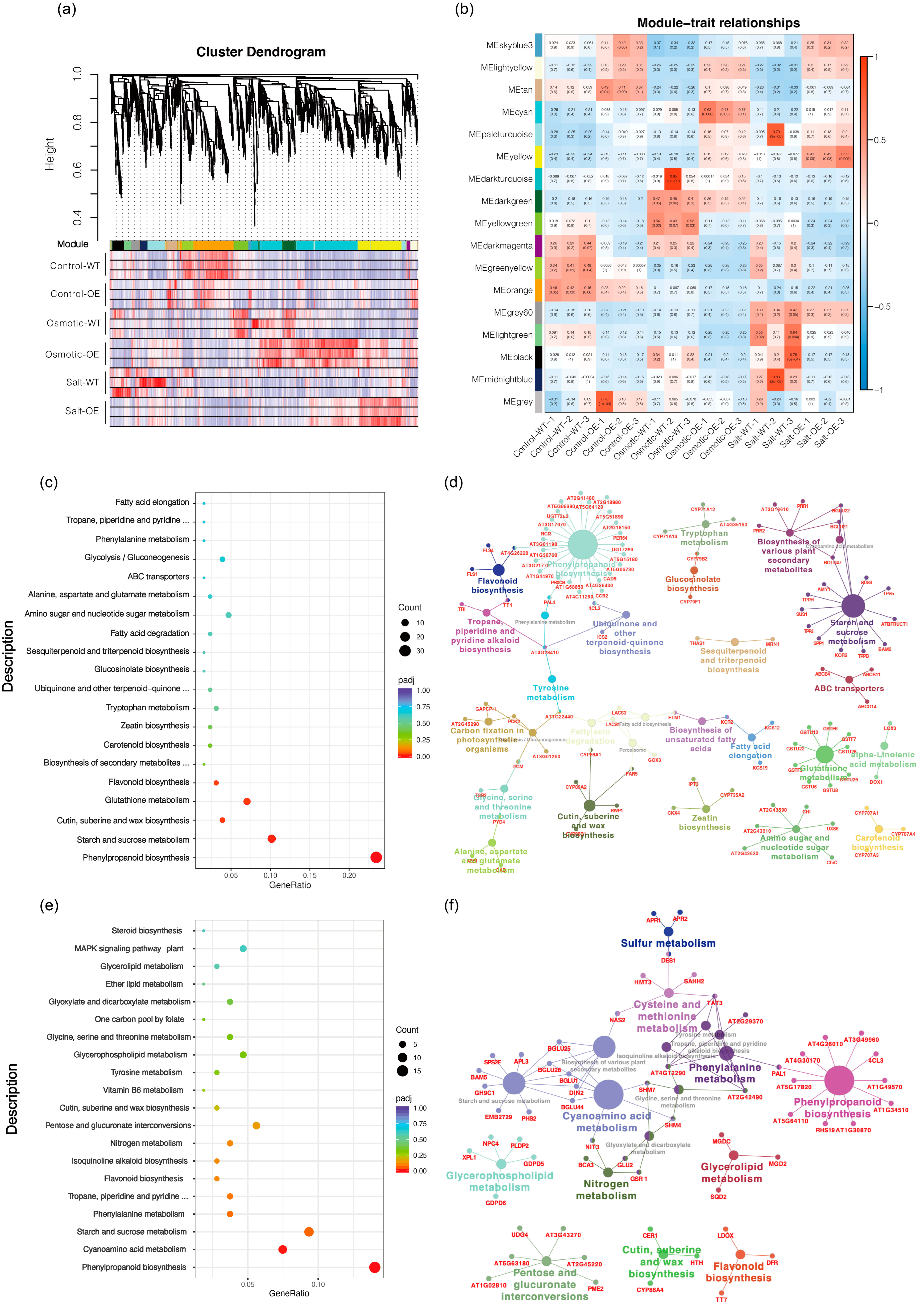 Plants 13 00205 g003