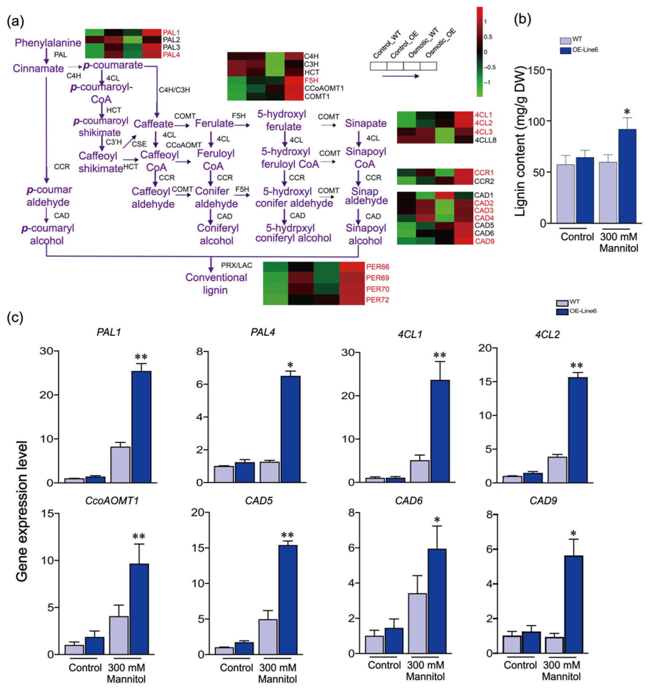 Plants 13 00205 g004