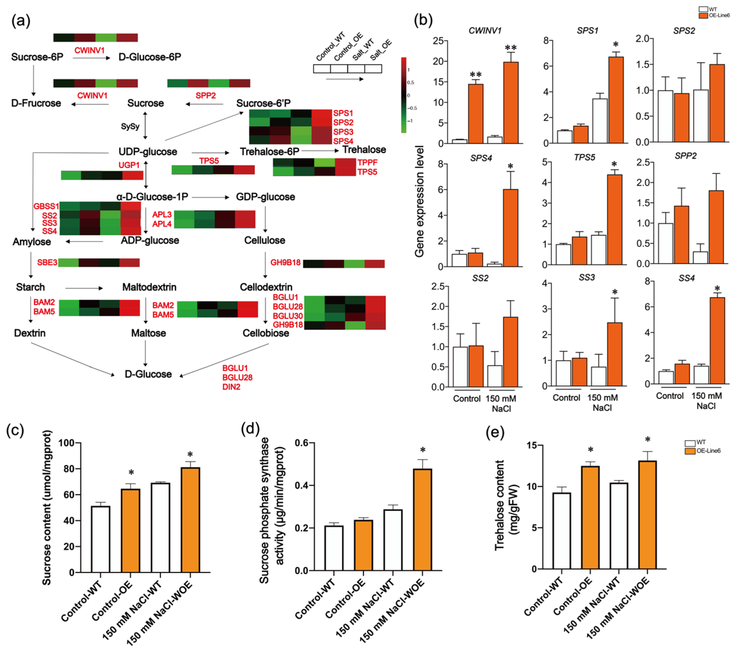 Plants 13 00205 g005